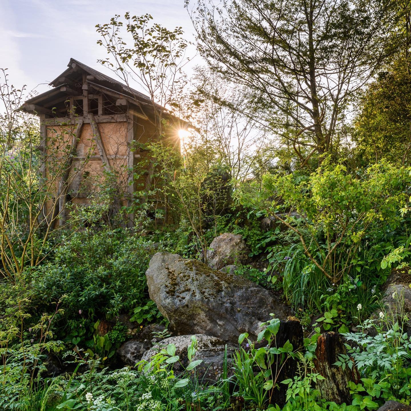 Chelsea Flower Show