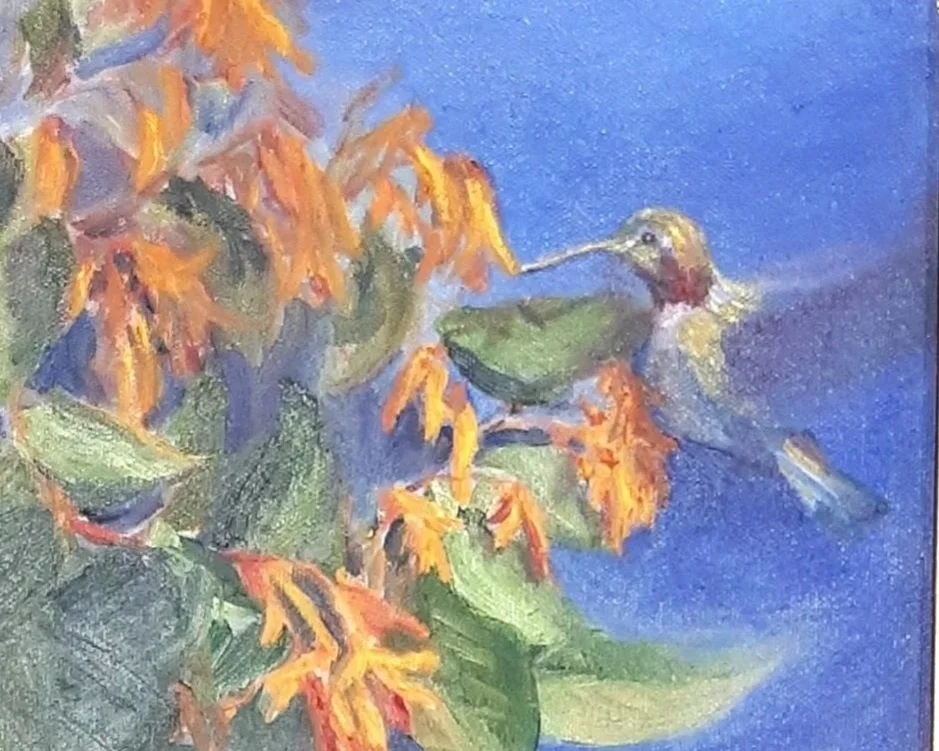 Hummingbird.jpg