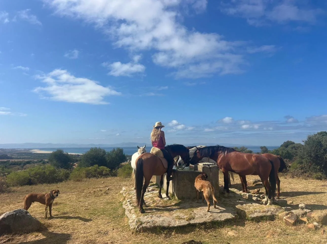 Klaartje Muijser · Hurricane Hipica — Sanación 1:1 con caballos — Tarifa Spirit Festival 2026