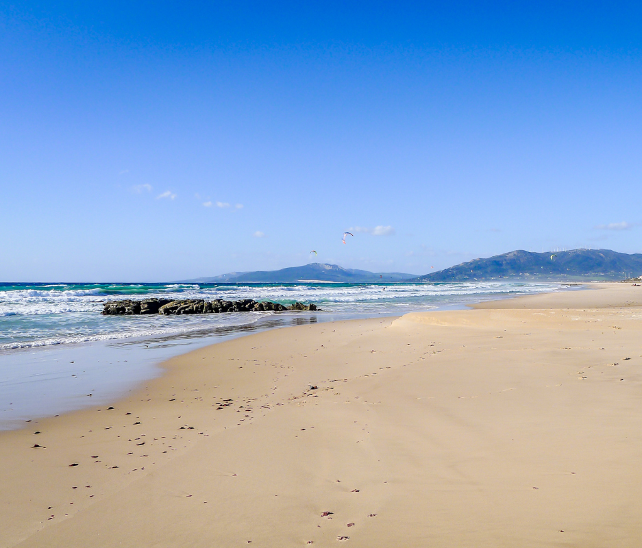 Nereide — Ocean Talk & Beach Clean-Up — Tarifa Spirit Festival 2026