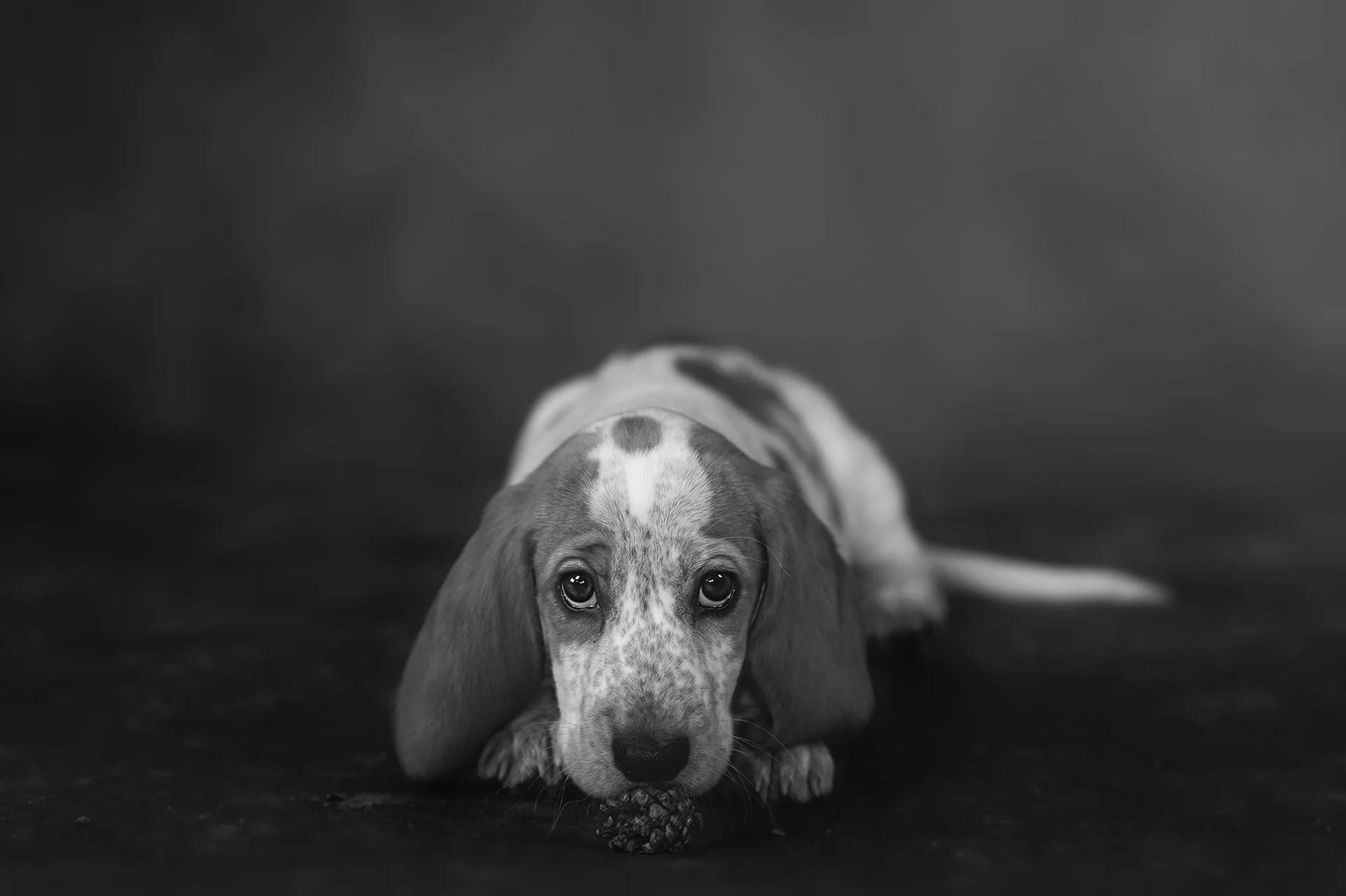 DSC_1093-Edit-2.jpg