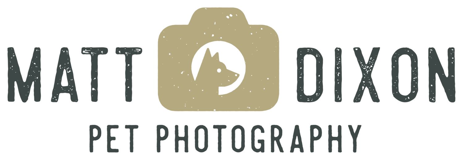 Matt Dixon Pet Photography