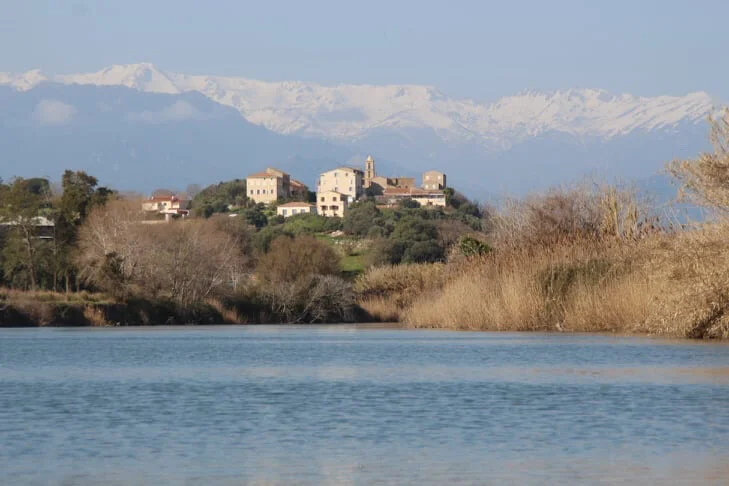 8-Tavignanu Fort d'Aleria credit TV.JPG