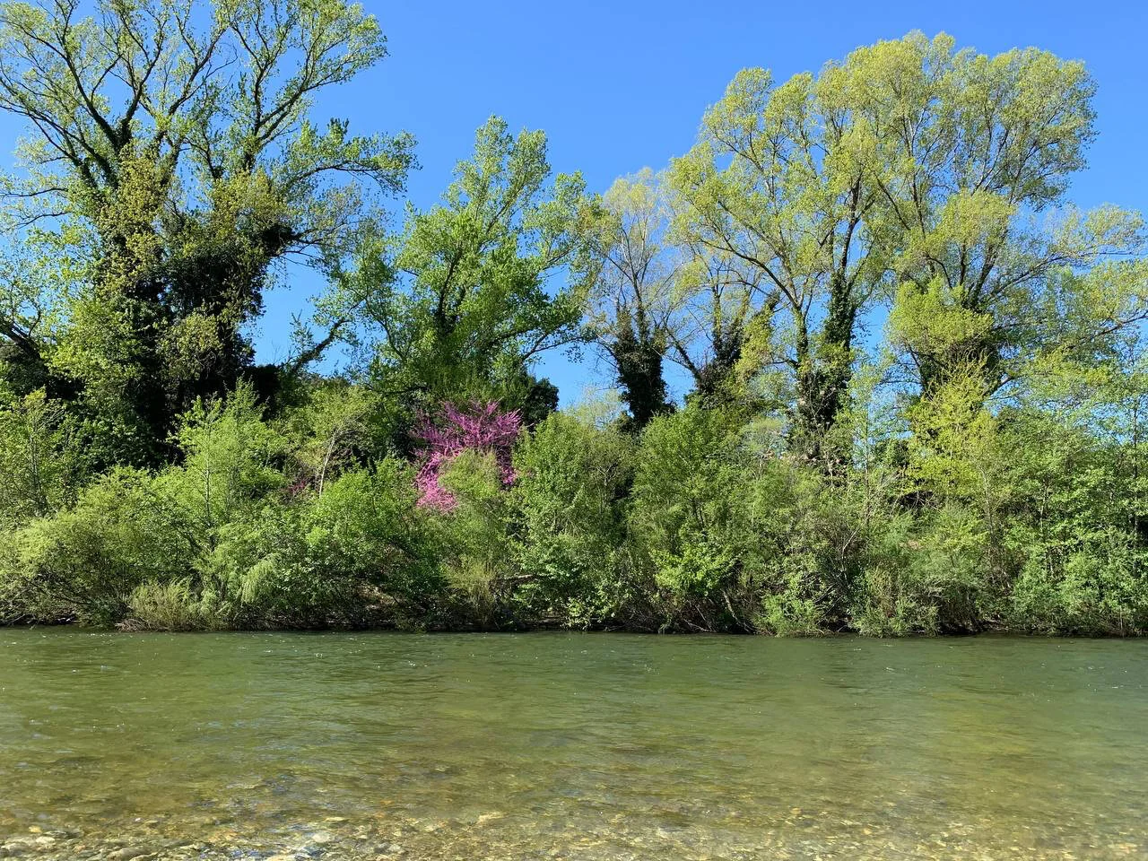 1-Tavignanu credit TV.jpeg