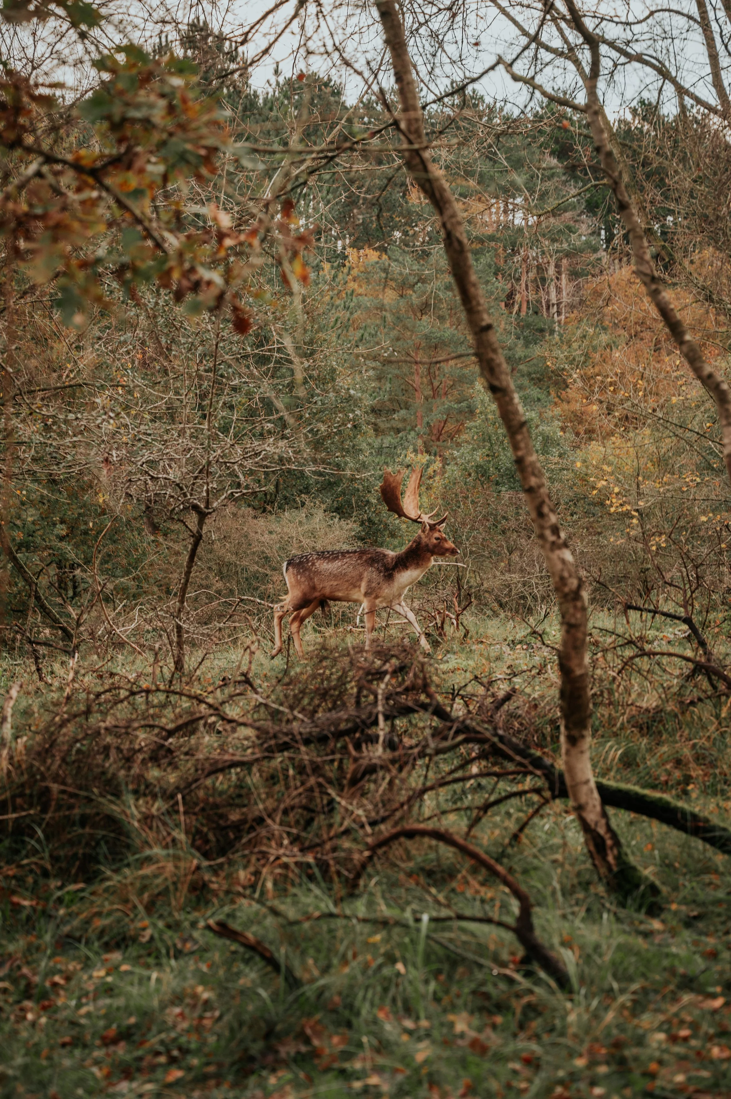 Amsterdam Beach (131).jpeg