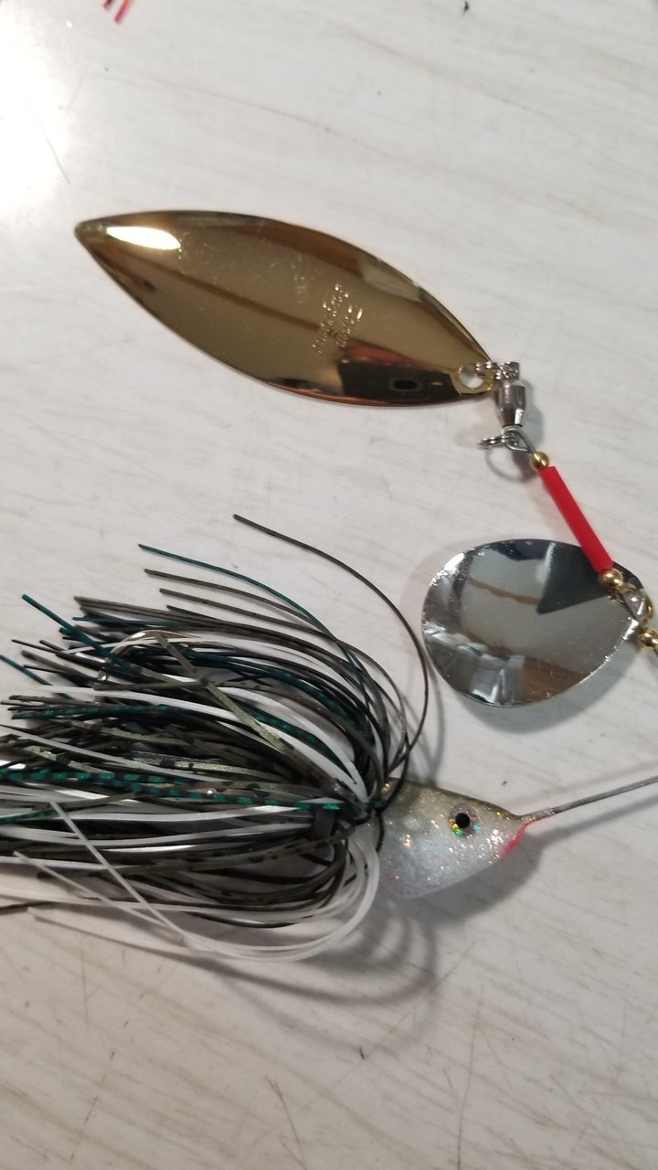 Lost River Lures Spinnerbait: Tennessee Shad color in 1/4, 3/8