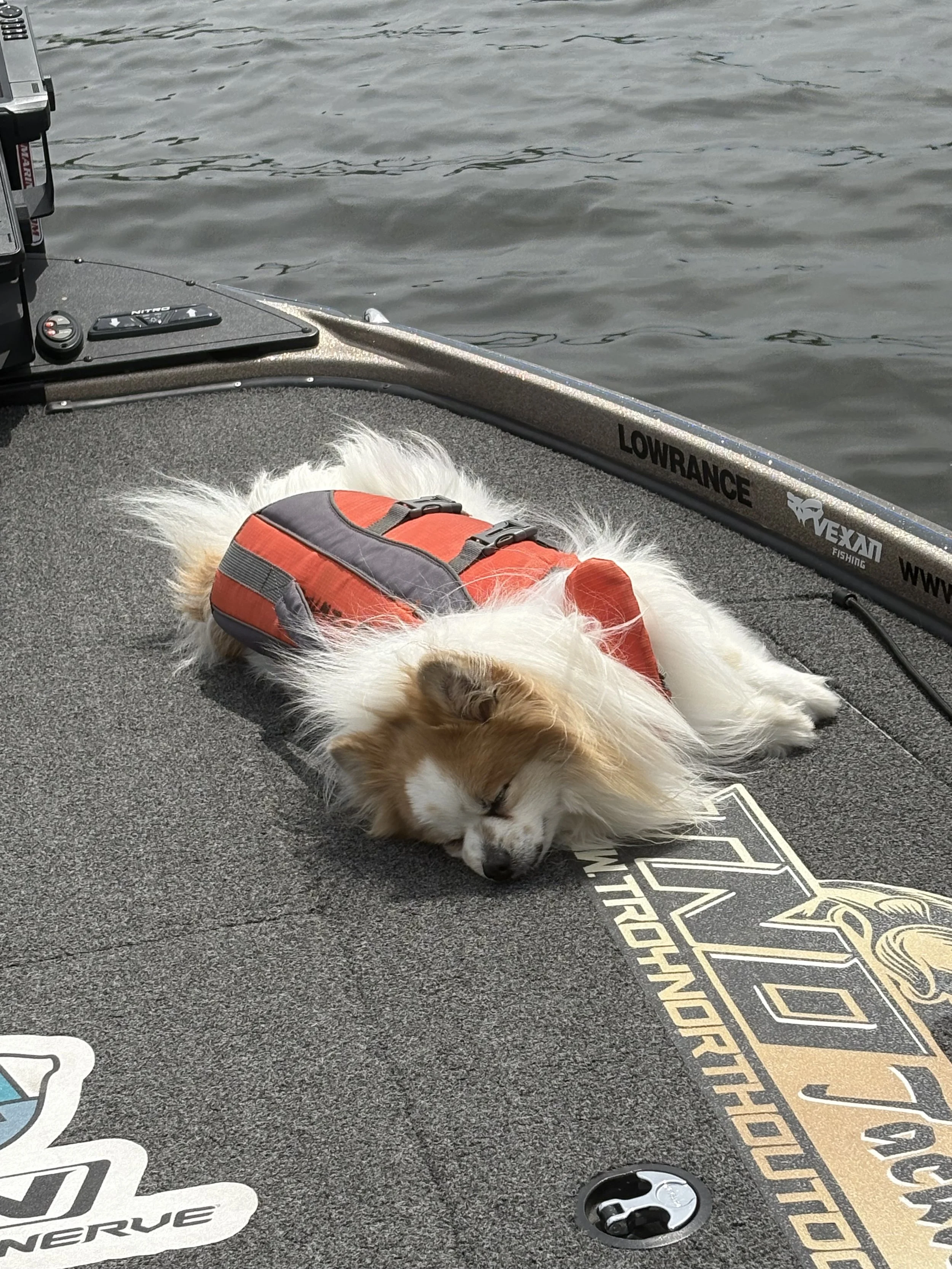 A dog with white and brown fur sleeping on a gray fishing boat deck, wearing a red life jacket with black straps, near the water. The boat has markings including a Lowrance logo and a Vexar logo, with fishing equipment visible.
