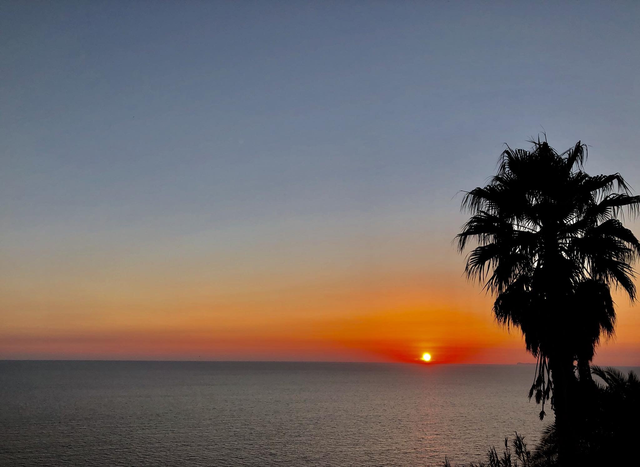 ischia 10.jpg
