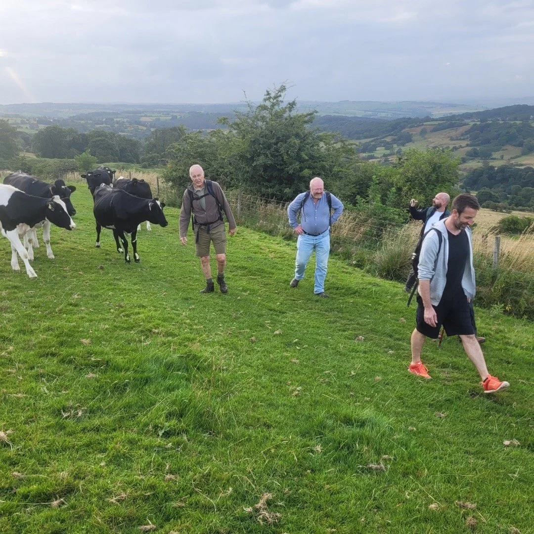 Ok guys let's keep it Moooooo ving! Sorry couldn't help myself. #walkandtalk #mensspace #menswellbeing #bonsallmoor