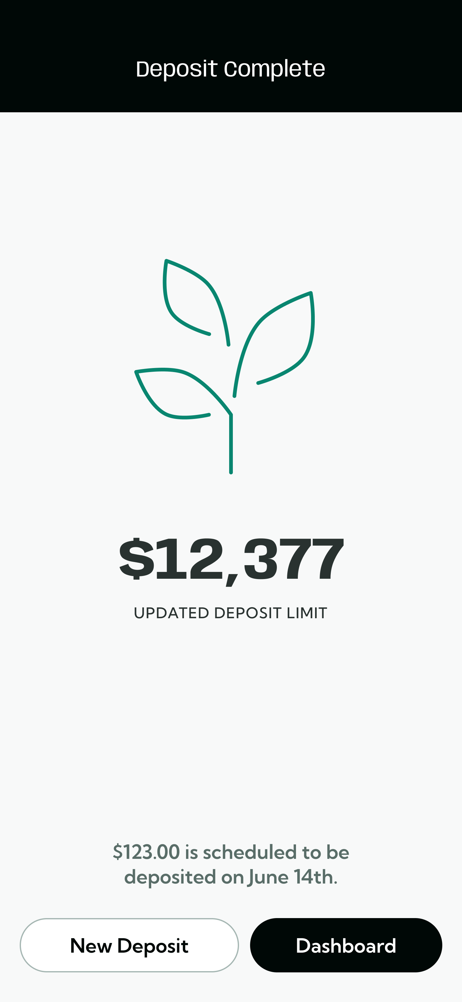 12 Deposit Check.png