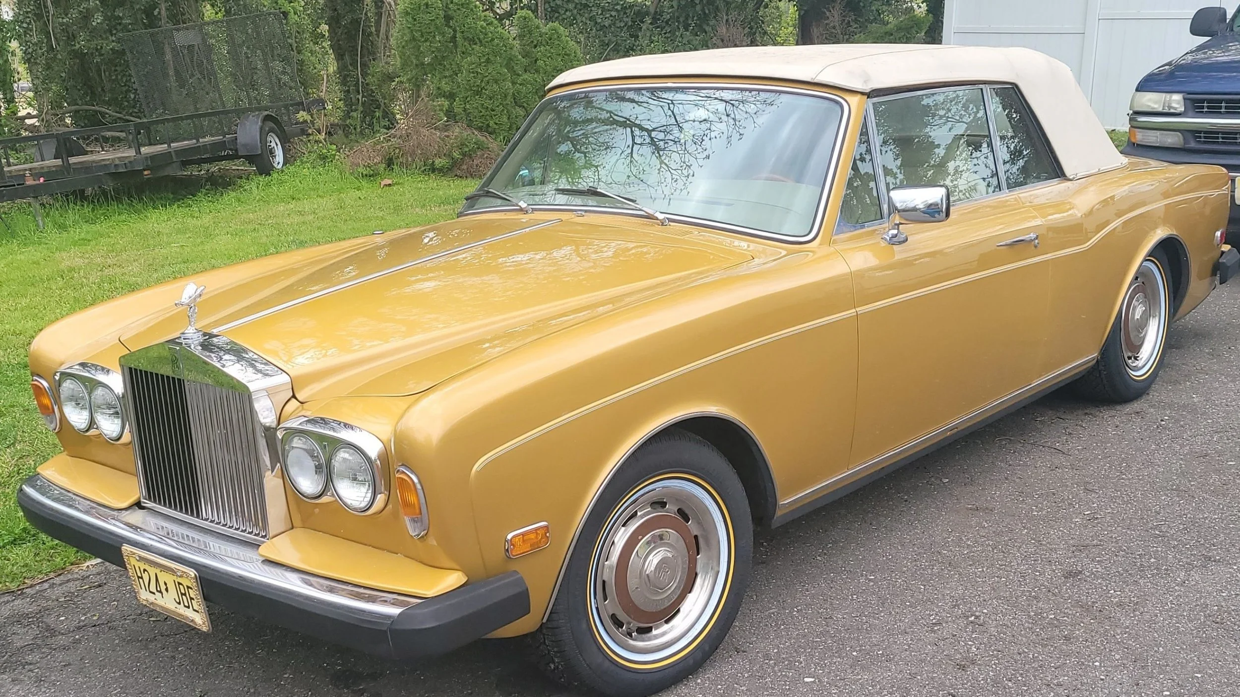 Todd (Exotic 2).jpeg