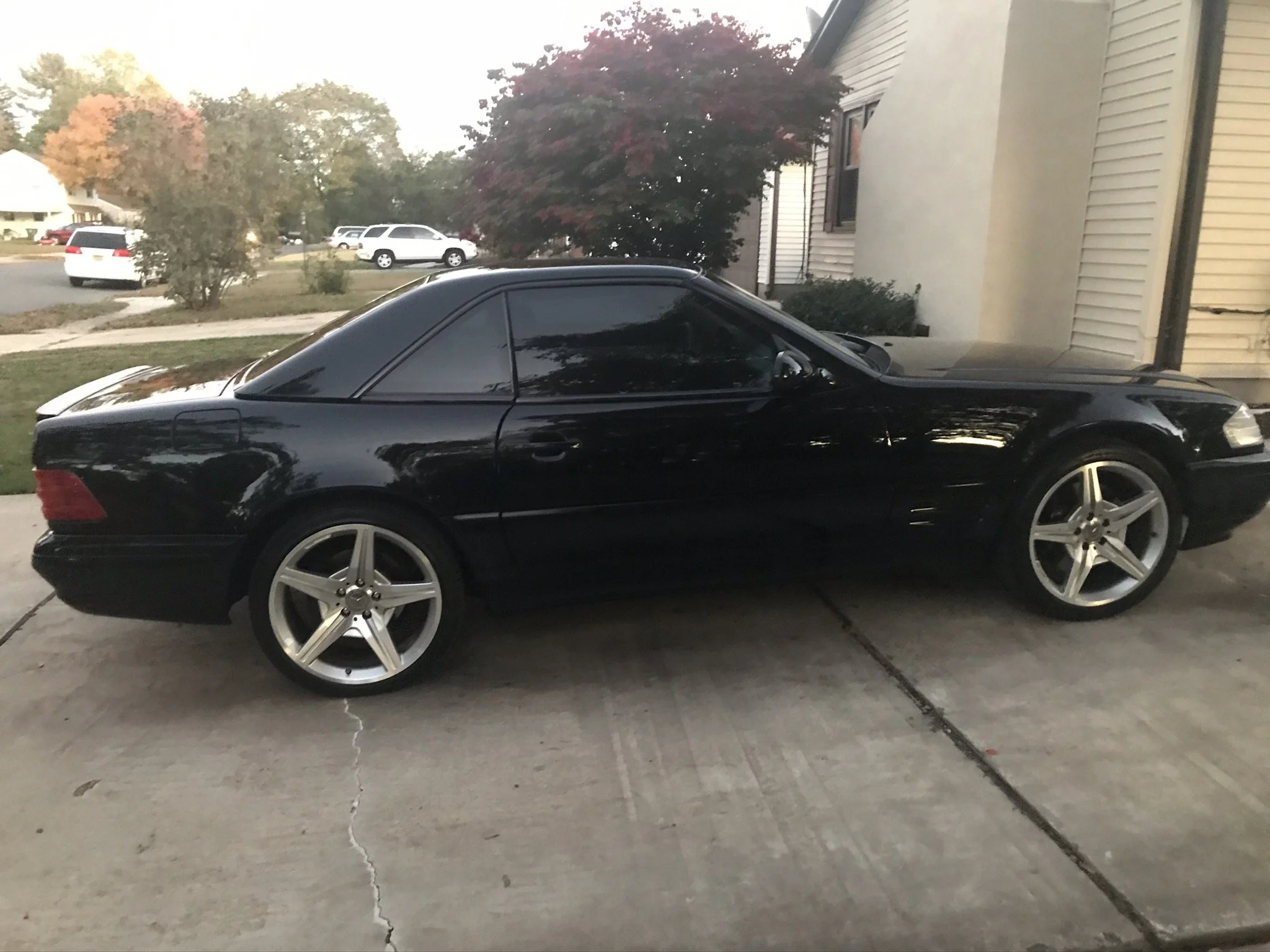 Alex C. (Cruiser 6).jpeg