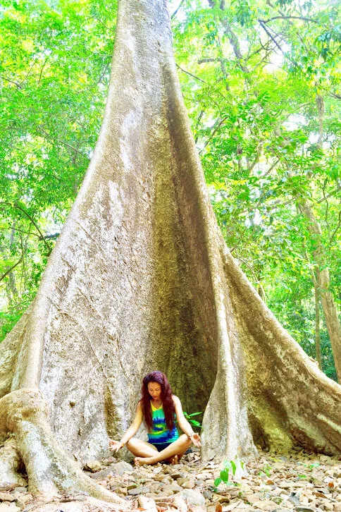 Person meditating in front of a large tree in a lush green forest