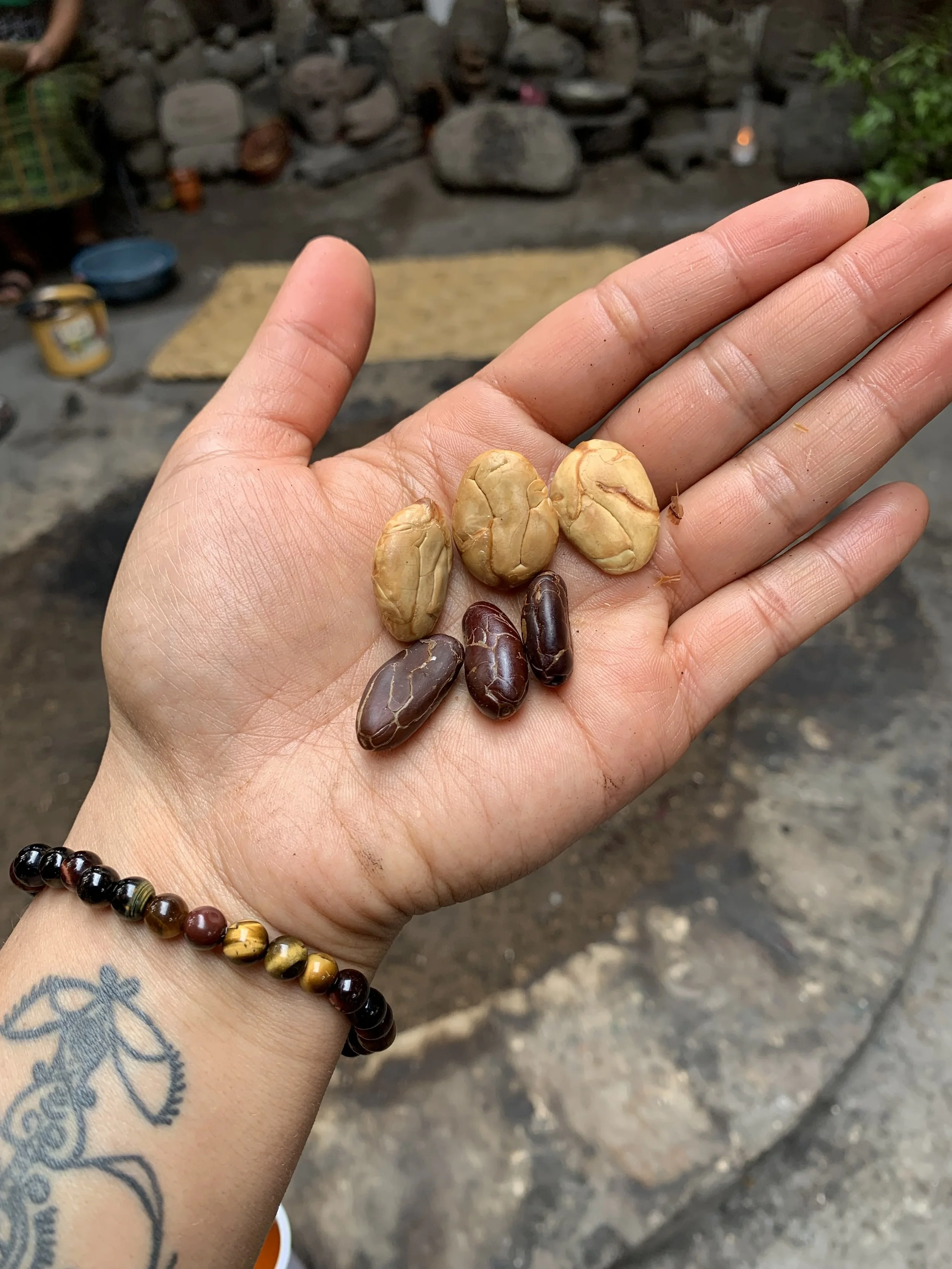 Cacao Beans