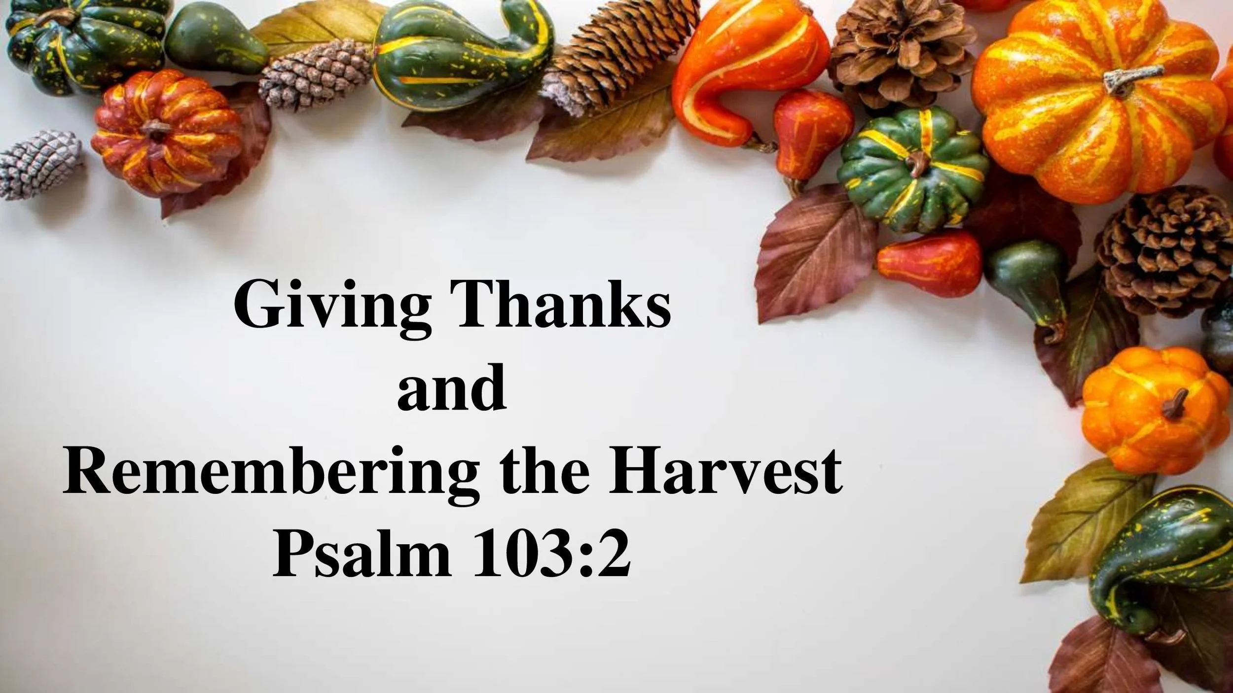 Giving Thanks and Remembering the Harvest