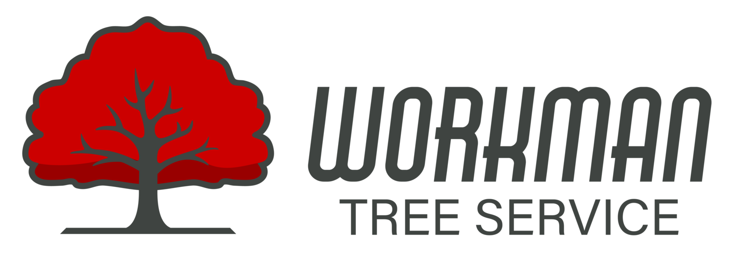 Workman Tree Service