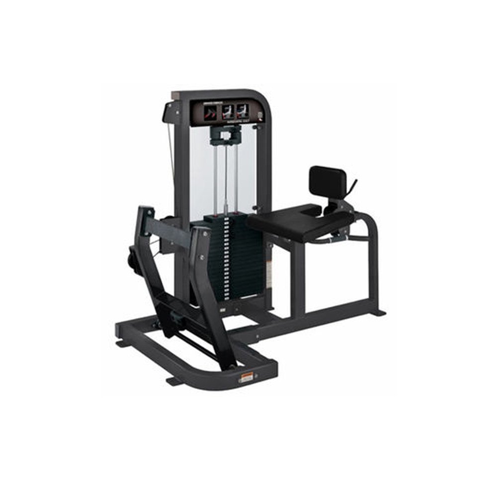 Afleiden beneden Nauwgezet Preowned Hammer Strength/Life Fitness Pro2 Selectorized Horizontal Calf —  360 Sports Products