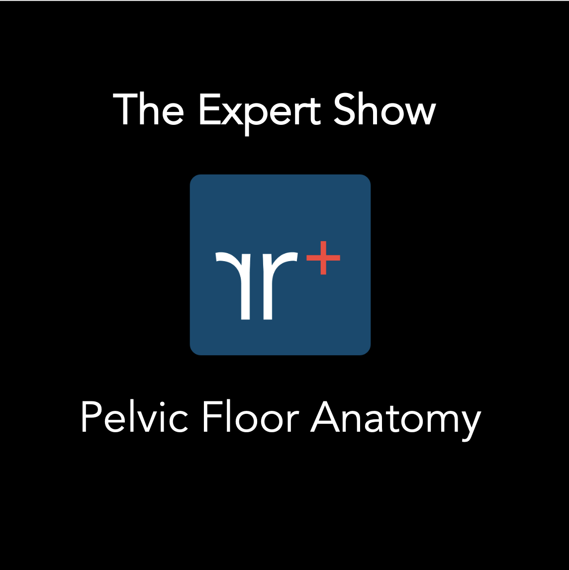 An overview of female pelvic floor anatomy