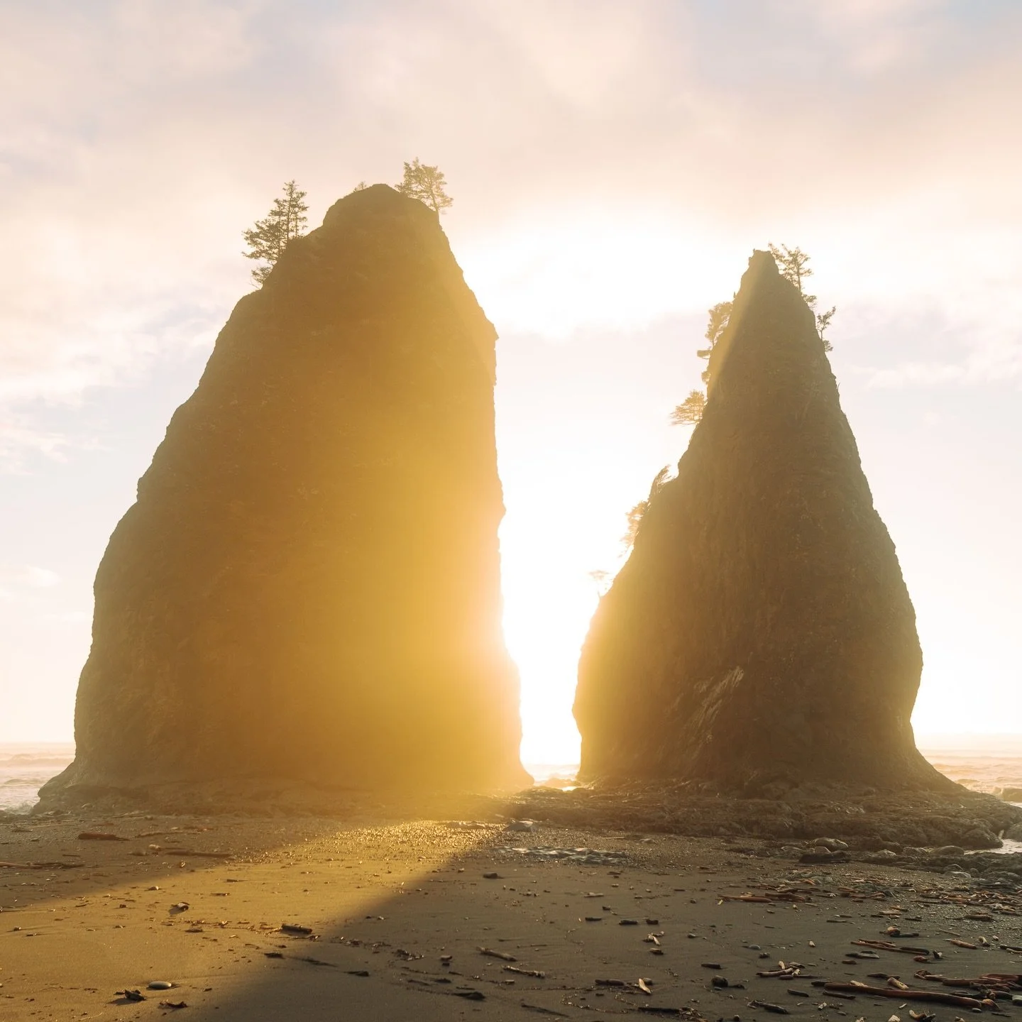 some of my favorite photos and adventures have been in january, a month when i want to curl up inside and hide from the freezing temperatures.

looking through my portfolio reminds me that there&rsquo;s beauty everywhere, even when i&rsquo;m cold and