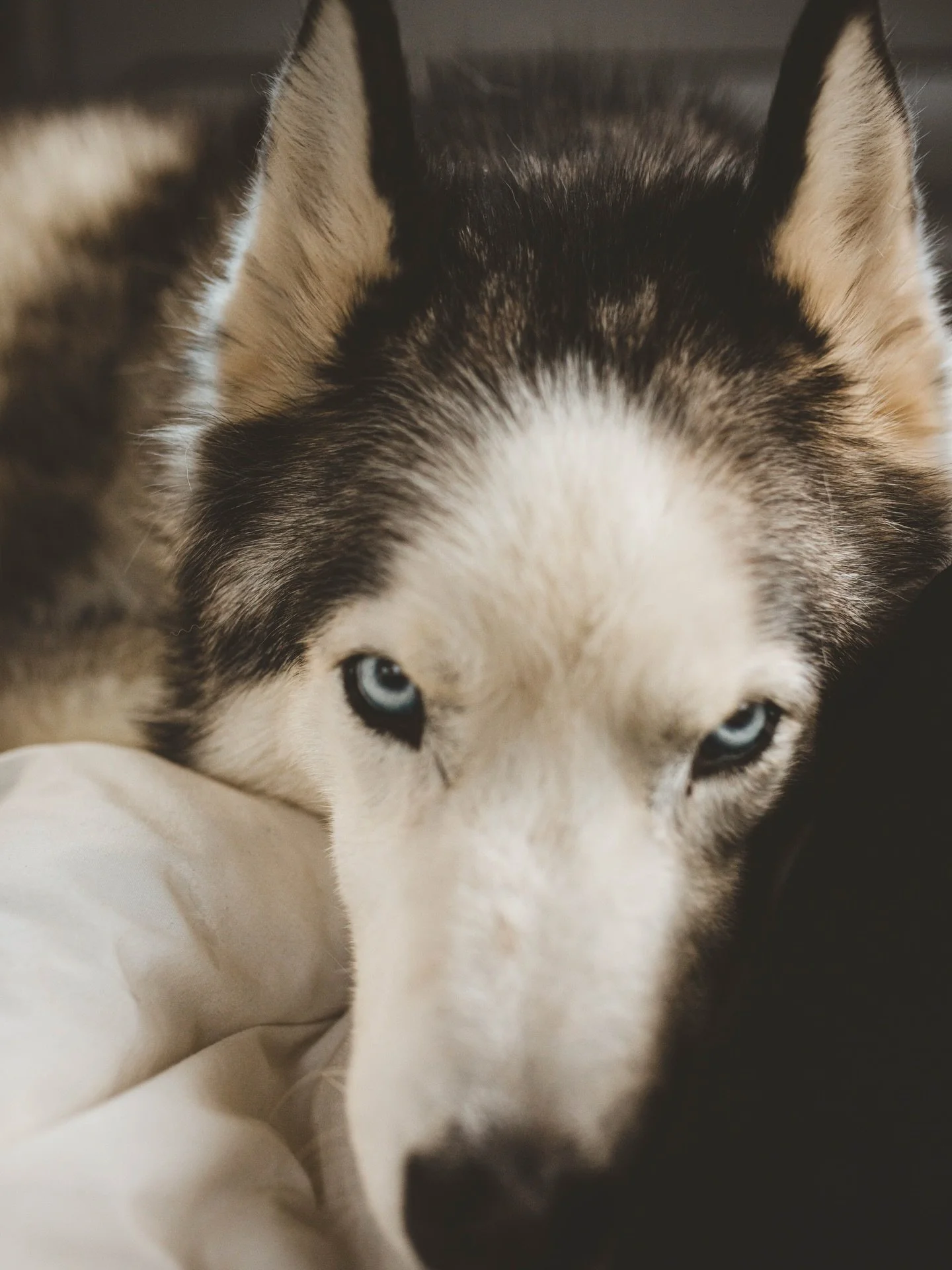 this was the hardest goodbye
i can&rsquo;t even put into words the pain i feel
he was an incredible soul
and i&rsquo;m lucky to be loved by him