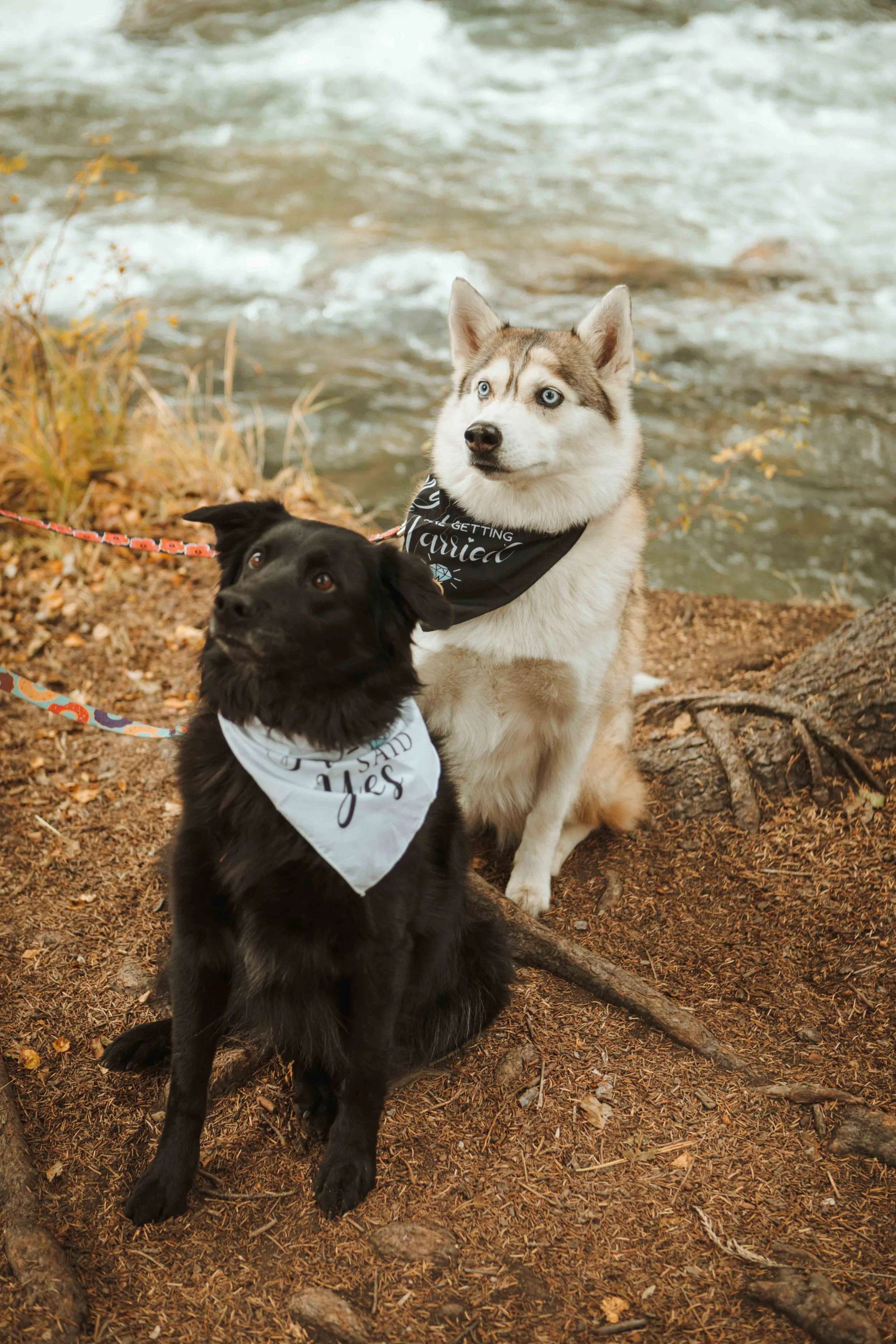 Natalie and Justin-AN-Small-55.jpg