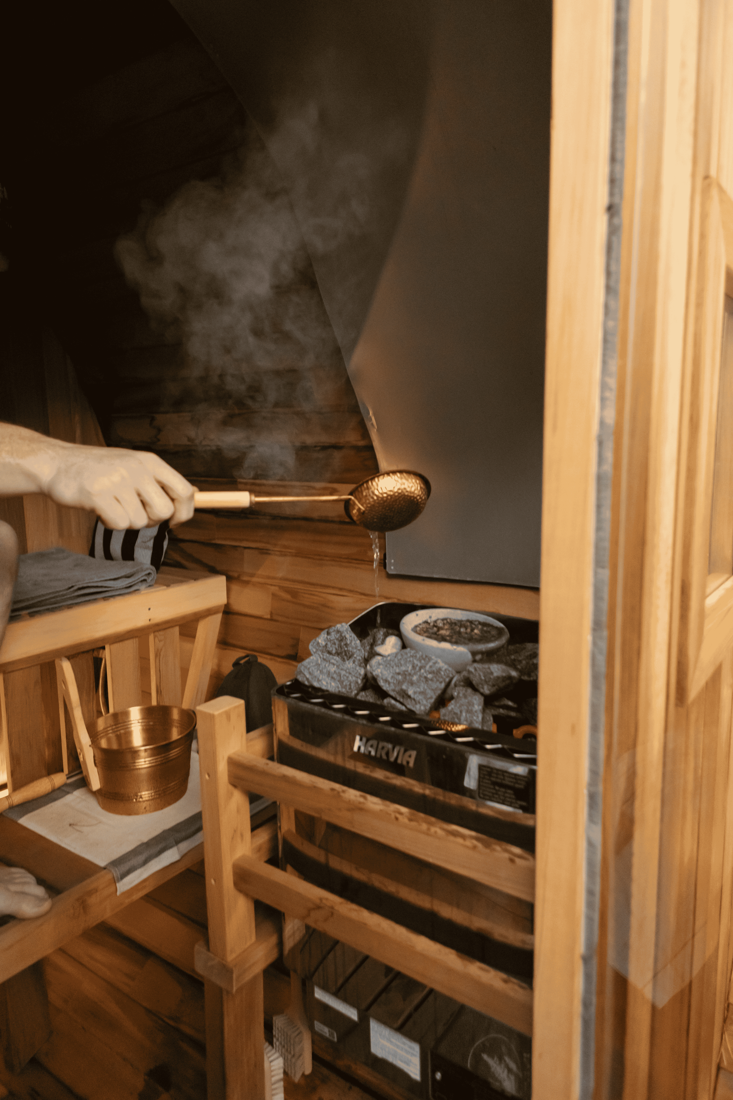 122023-AN-Will Dissly-2.png