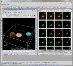 2021 Image Analysis Program — Cellular Imaging