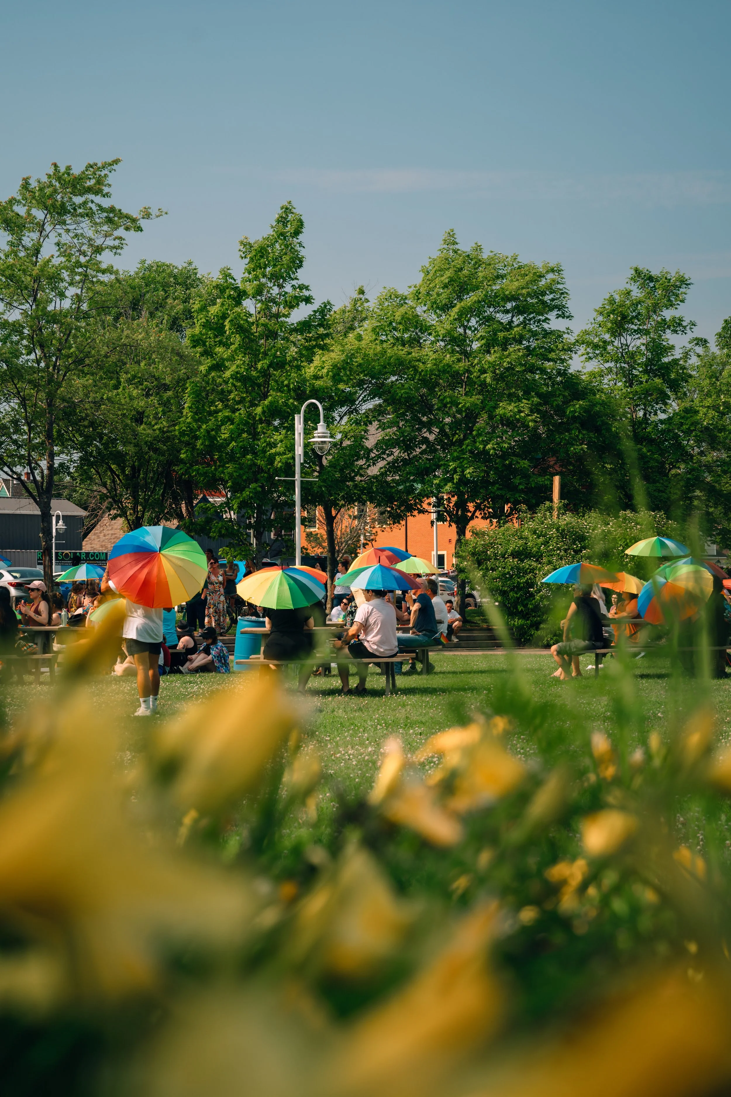 A7400209.jpg