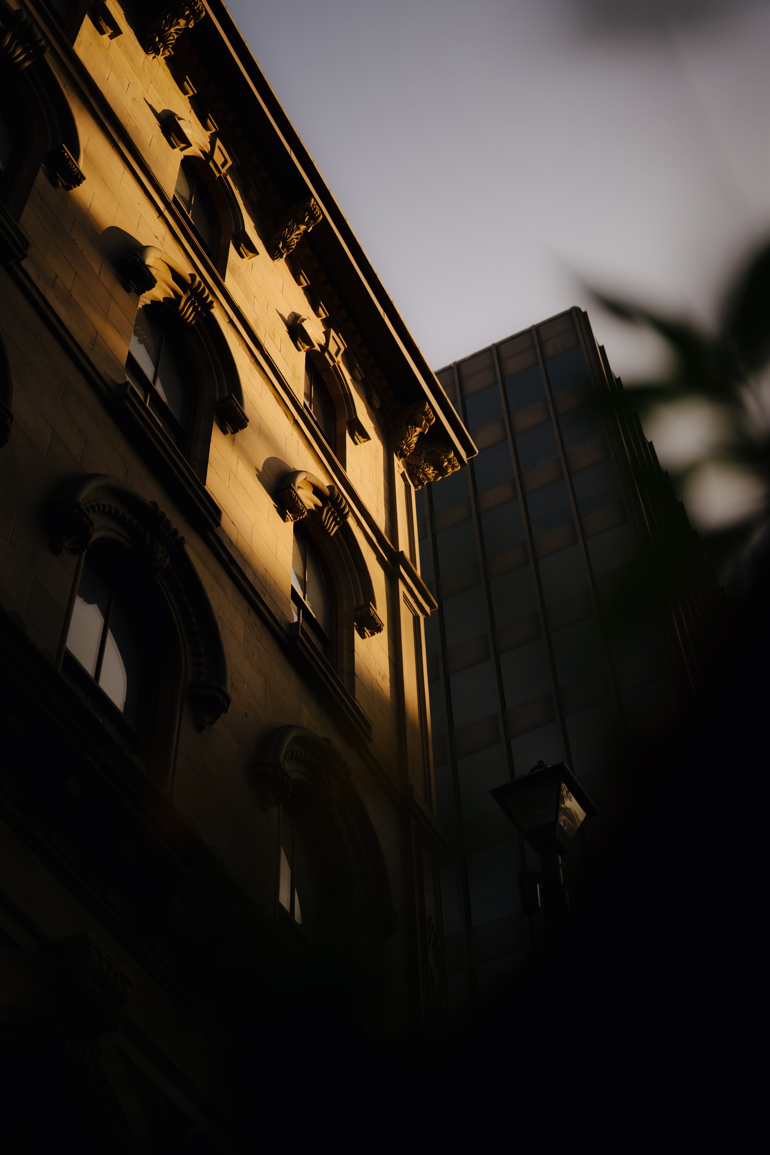 DSC08210.jpg