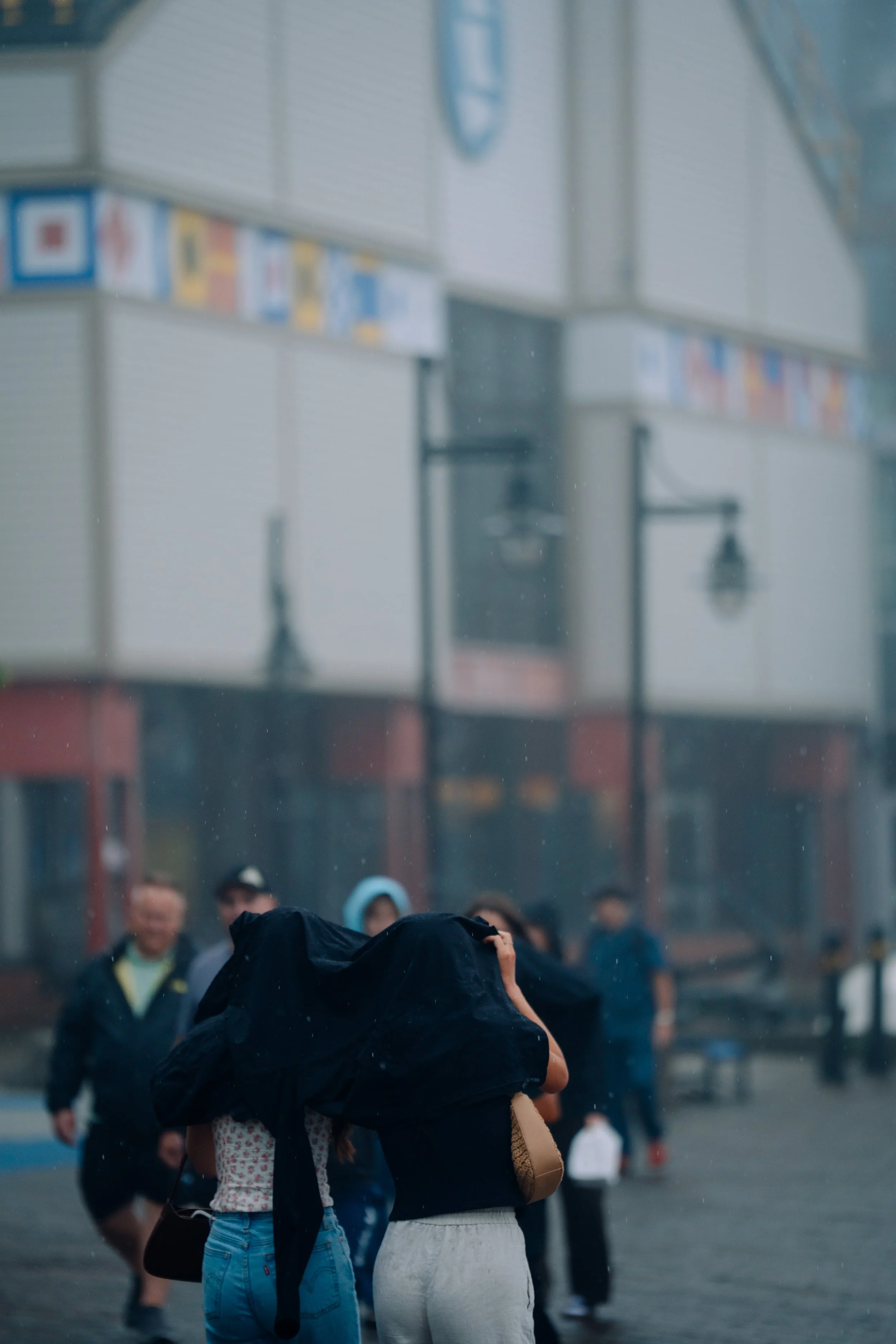 DSC09071.jpg