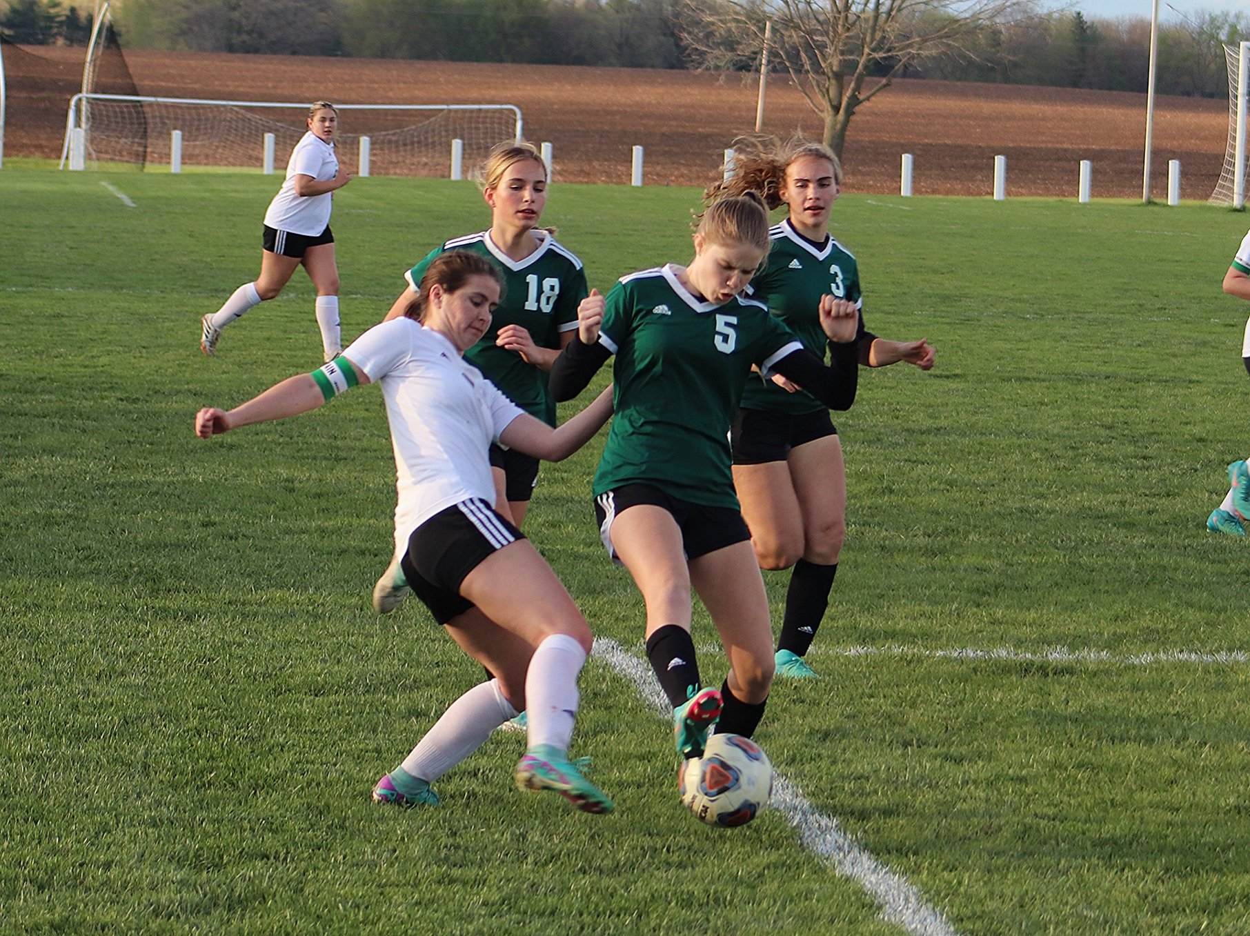 Lady Leafs Hand Alleman First WB6 Loss