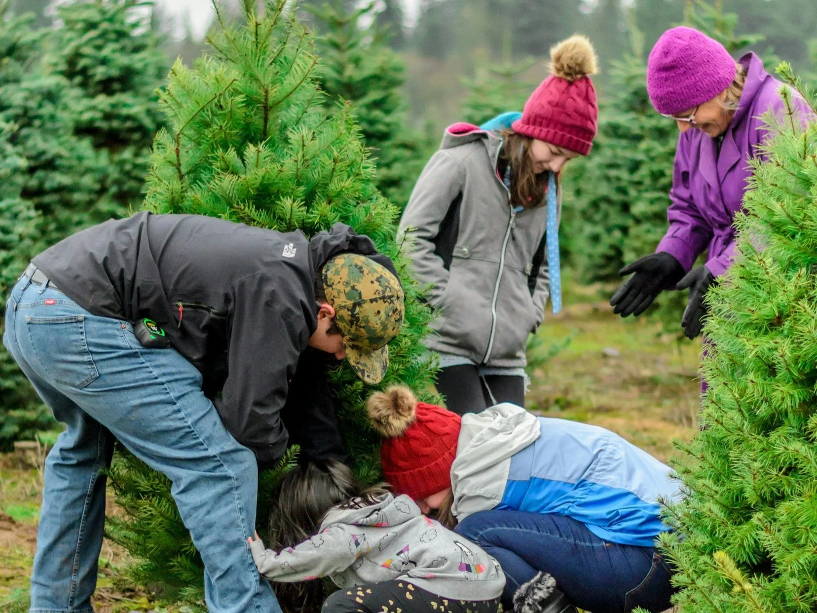 The American Farmer's Role in the Upcoming Christmas Holiday