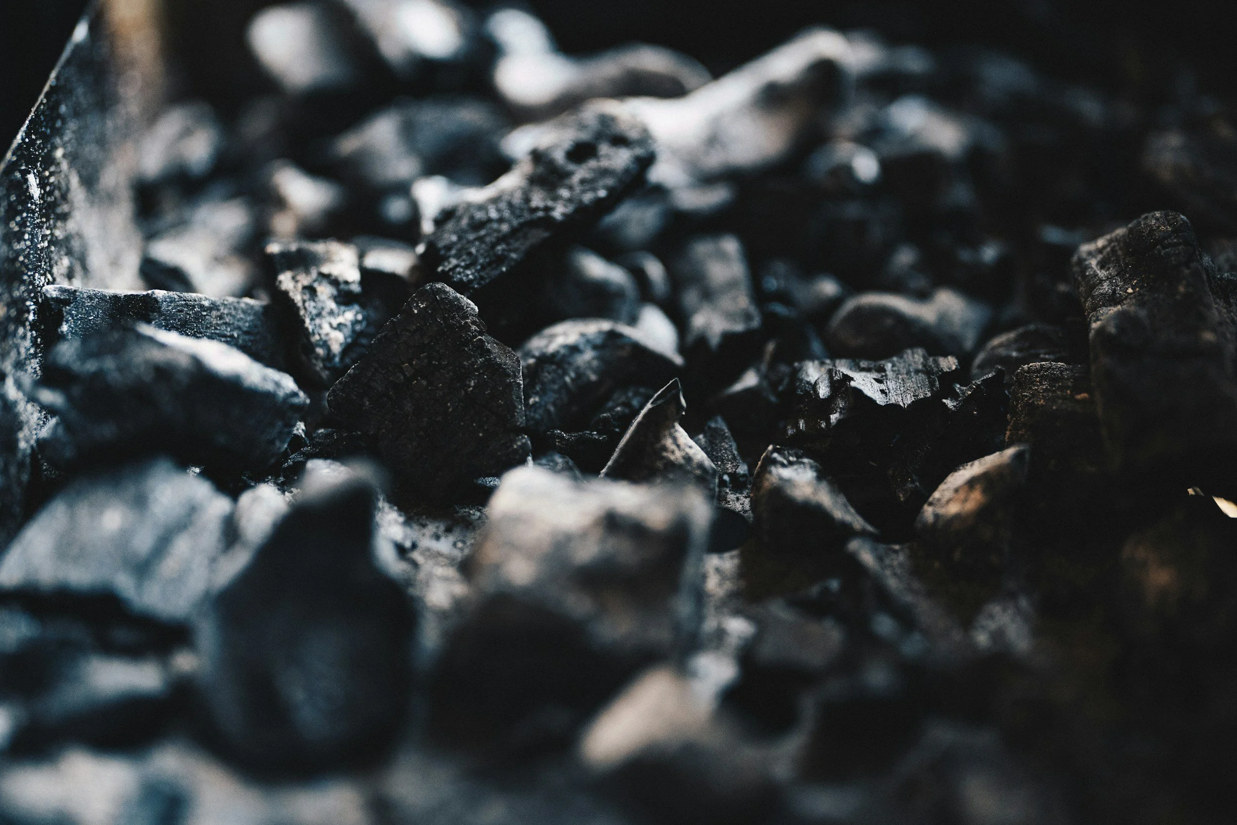 Biosolids in Agriculture: Turning Waste into Growth