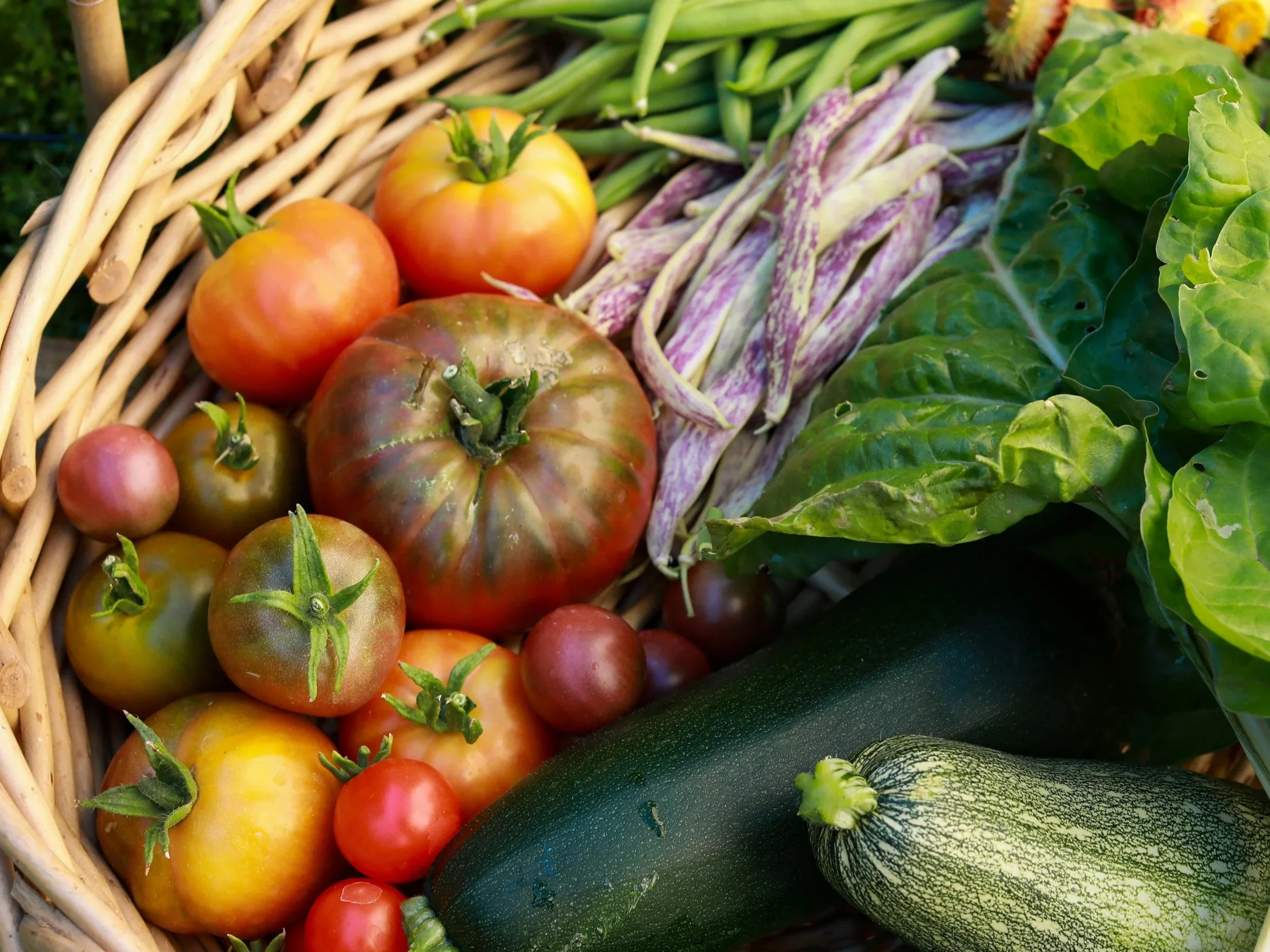 Garden Club to Meet Sept. 12 in Atkinson