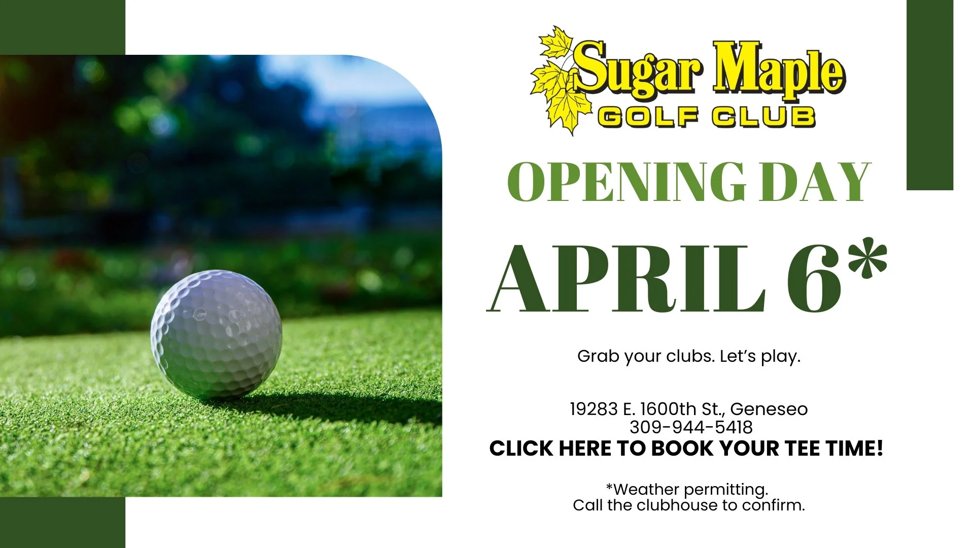 Sugar Maple Opening Day