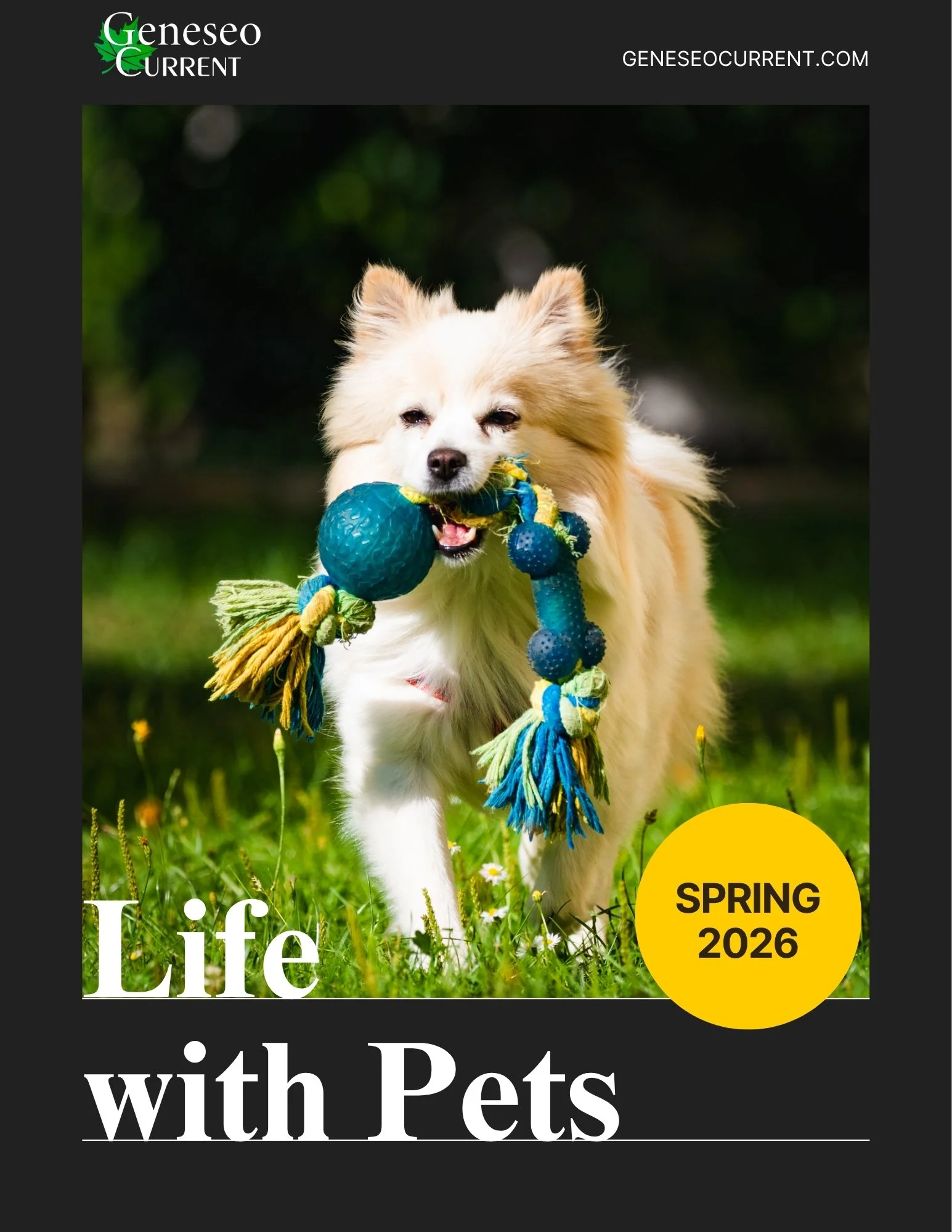 Life with Pets.jpg