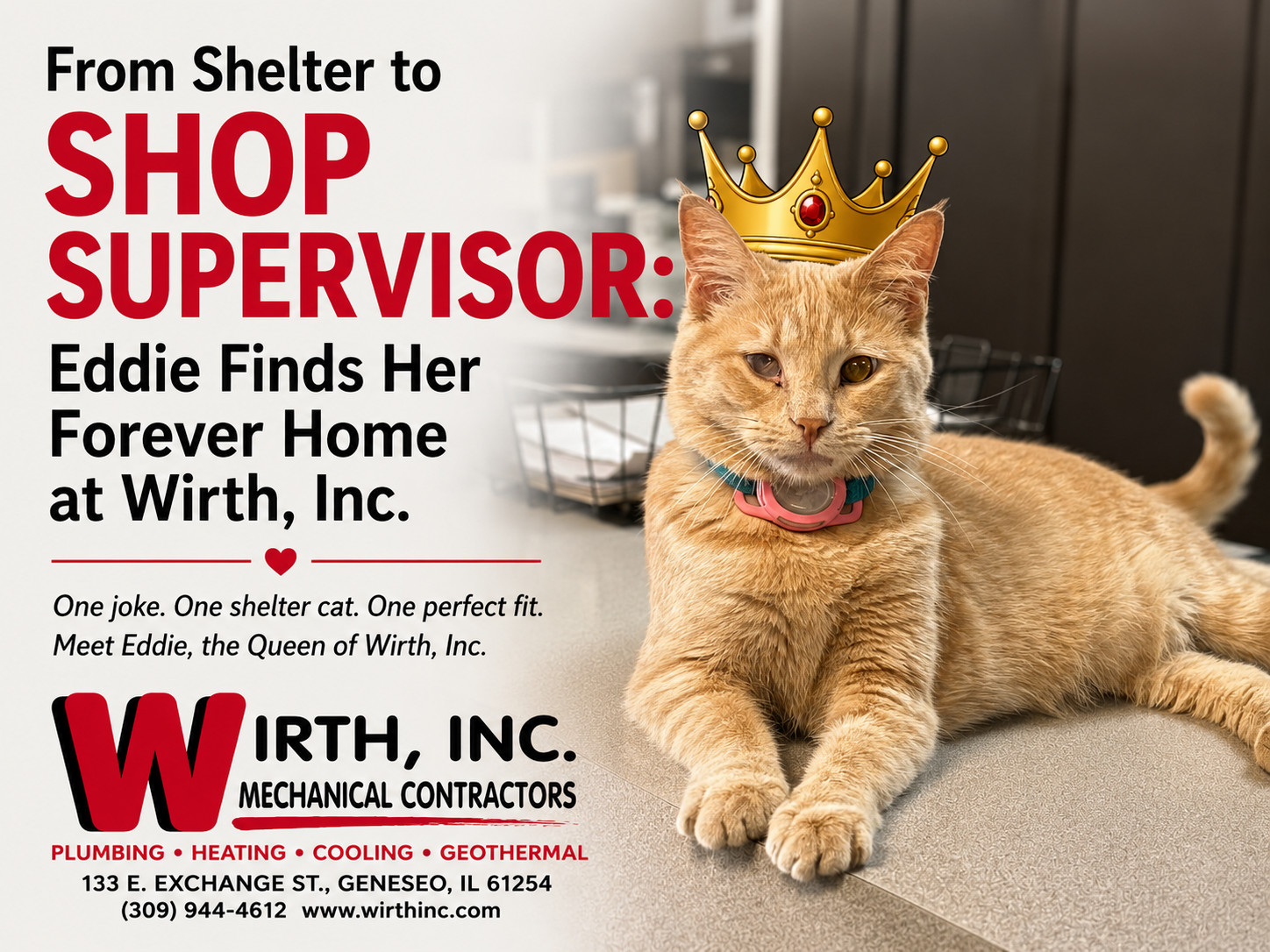 From Shelter to Shop Supervisor: Eddie Finds Her Forever Home at Wirth, Inc.