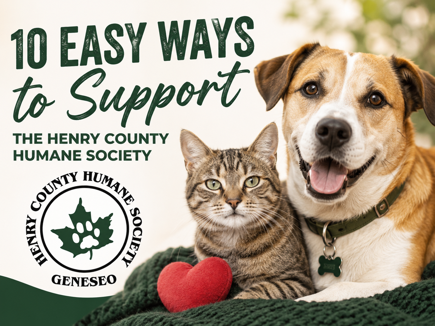 10 Easy Ways to Support the Henry County Humane Society