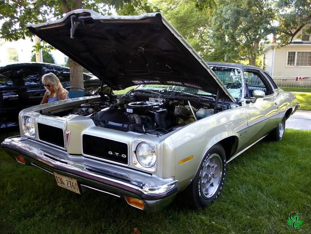 FB_IMG_1785148900770.jpg