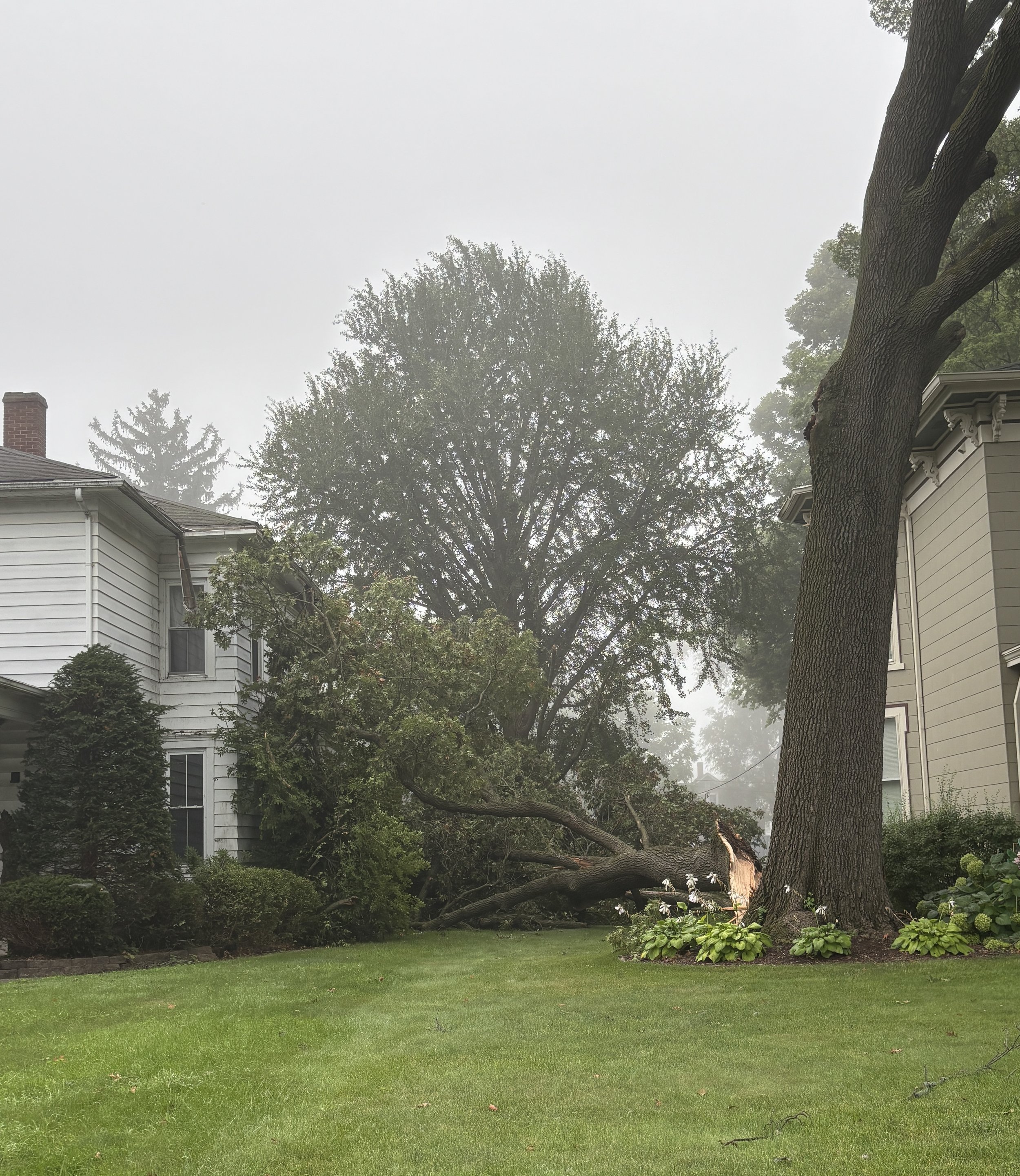 august storm damage.jpg