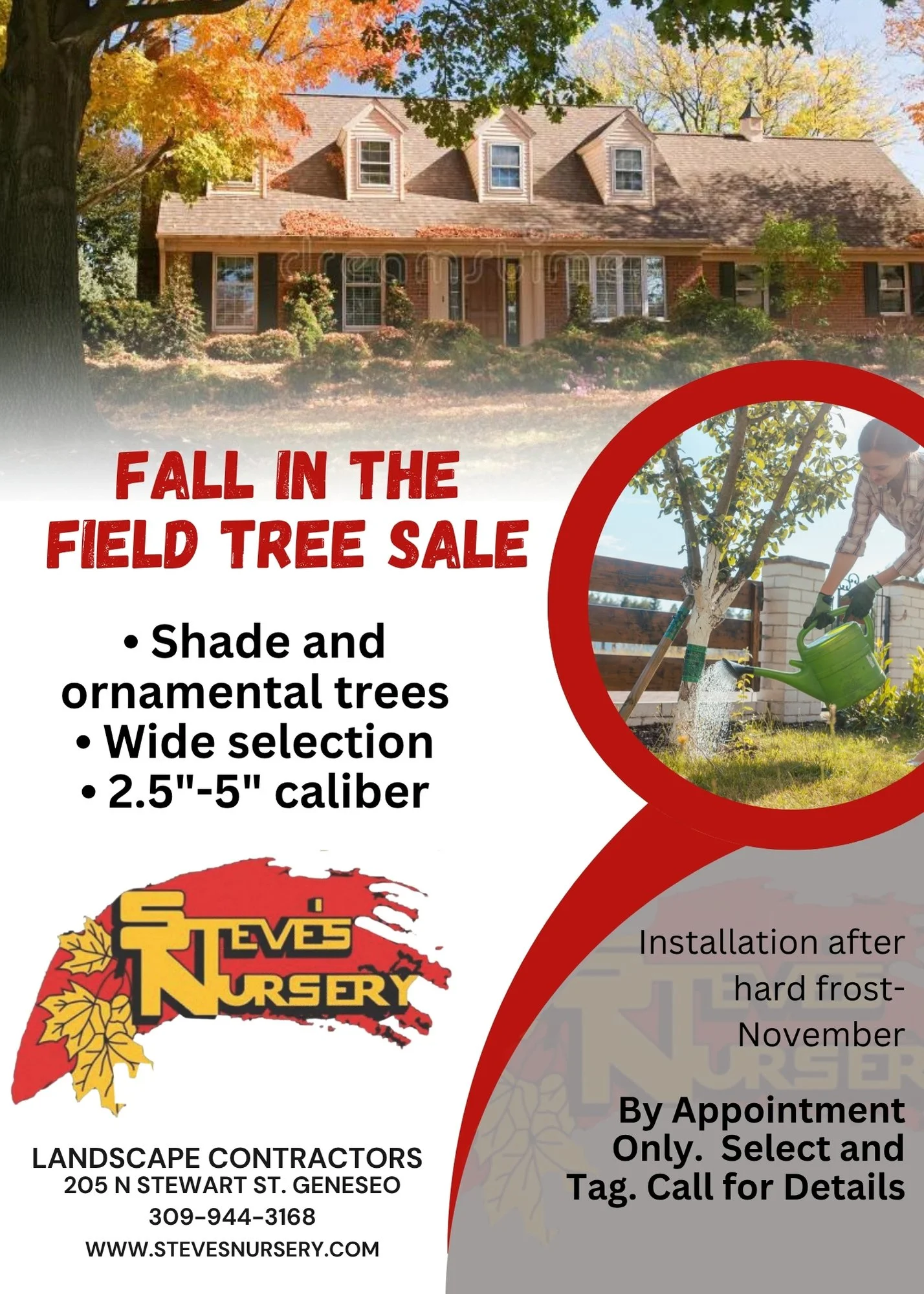 Steves Fall Sale.jpg