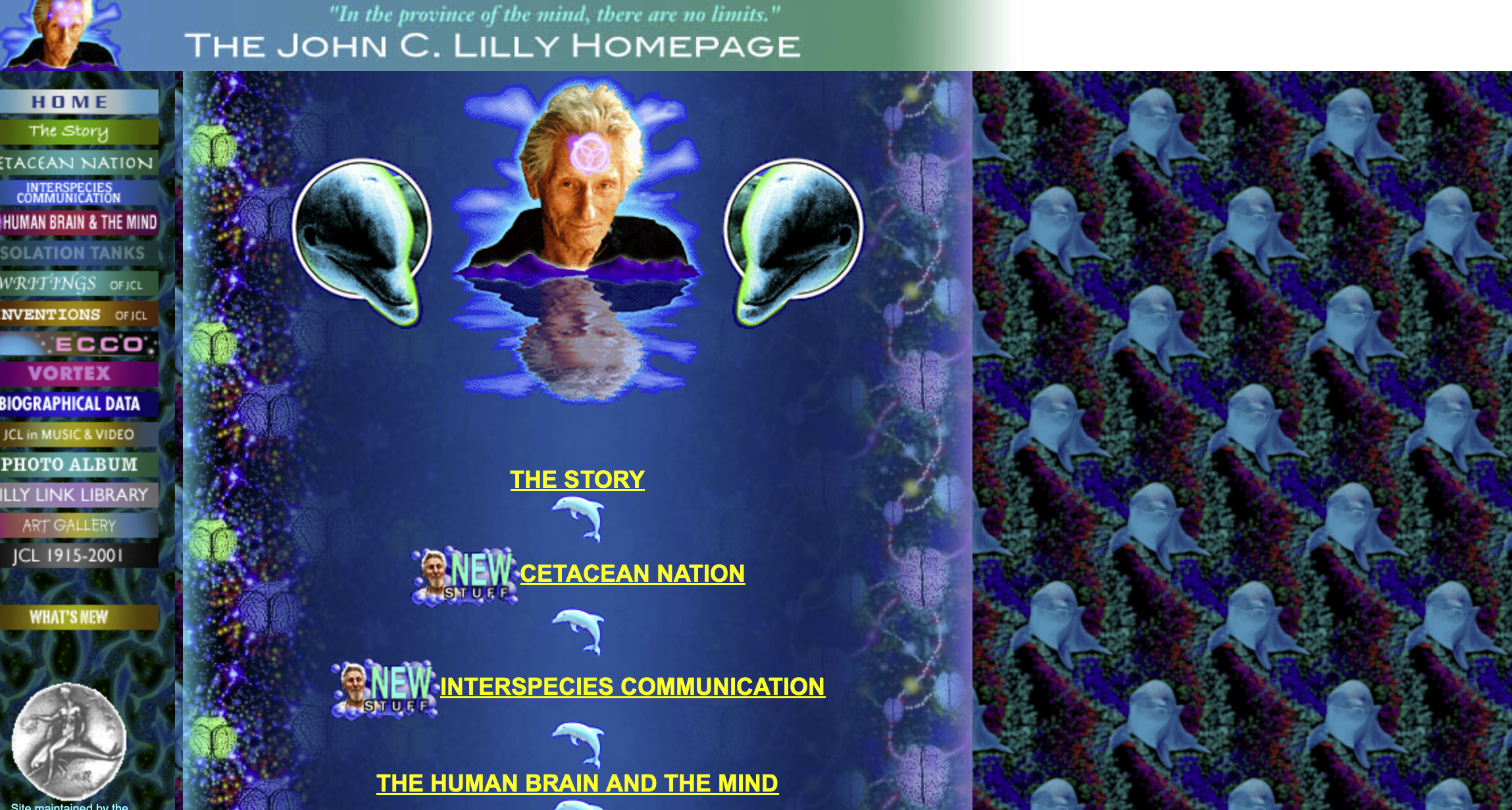 Week Ten - What now? 