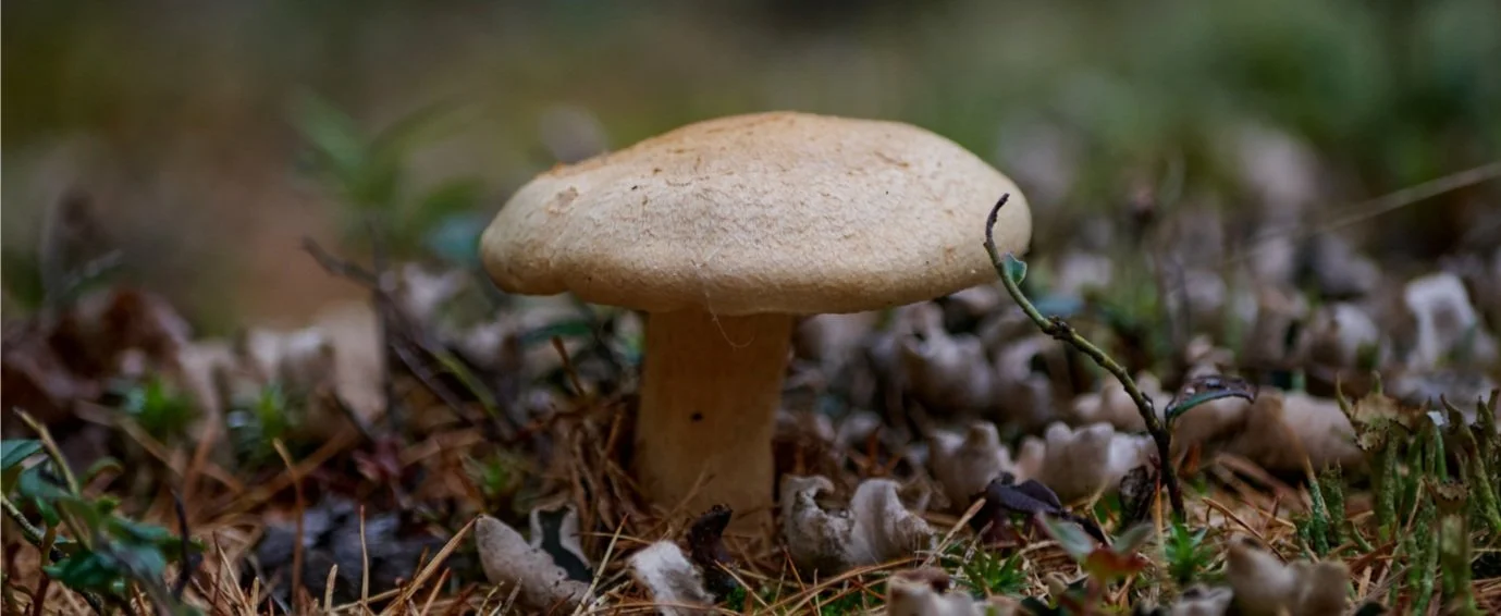 Staying Grounded as an Entrepreneur: Why Self-Care Is a Strategic Advantage