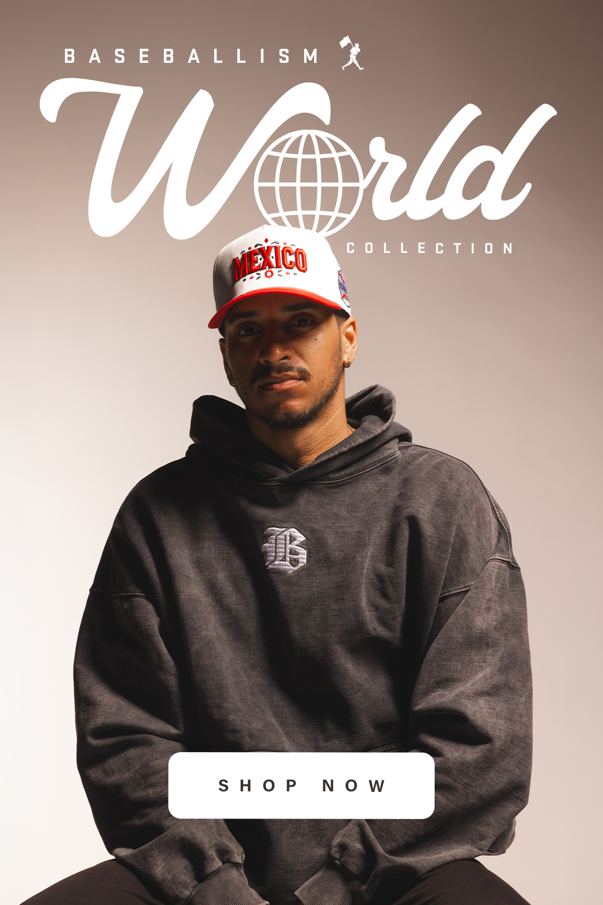 4x6 World Mobile Banner.png