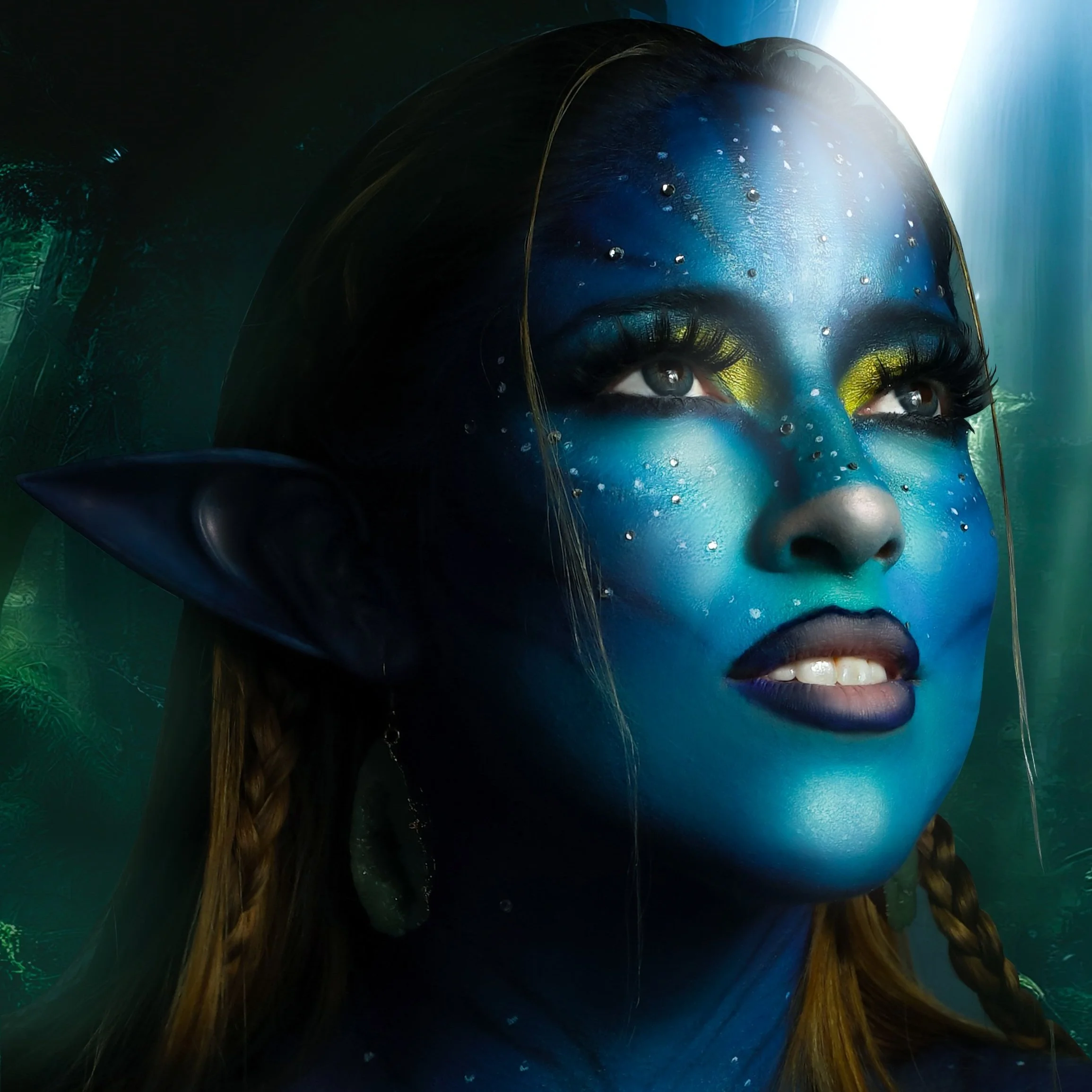 Navi4 copy.jpg