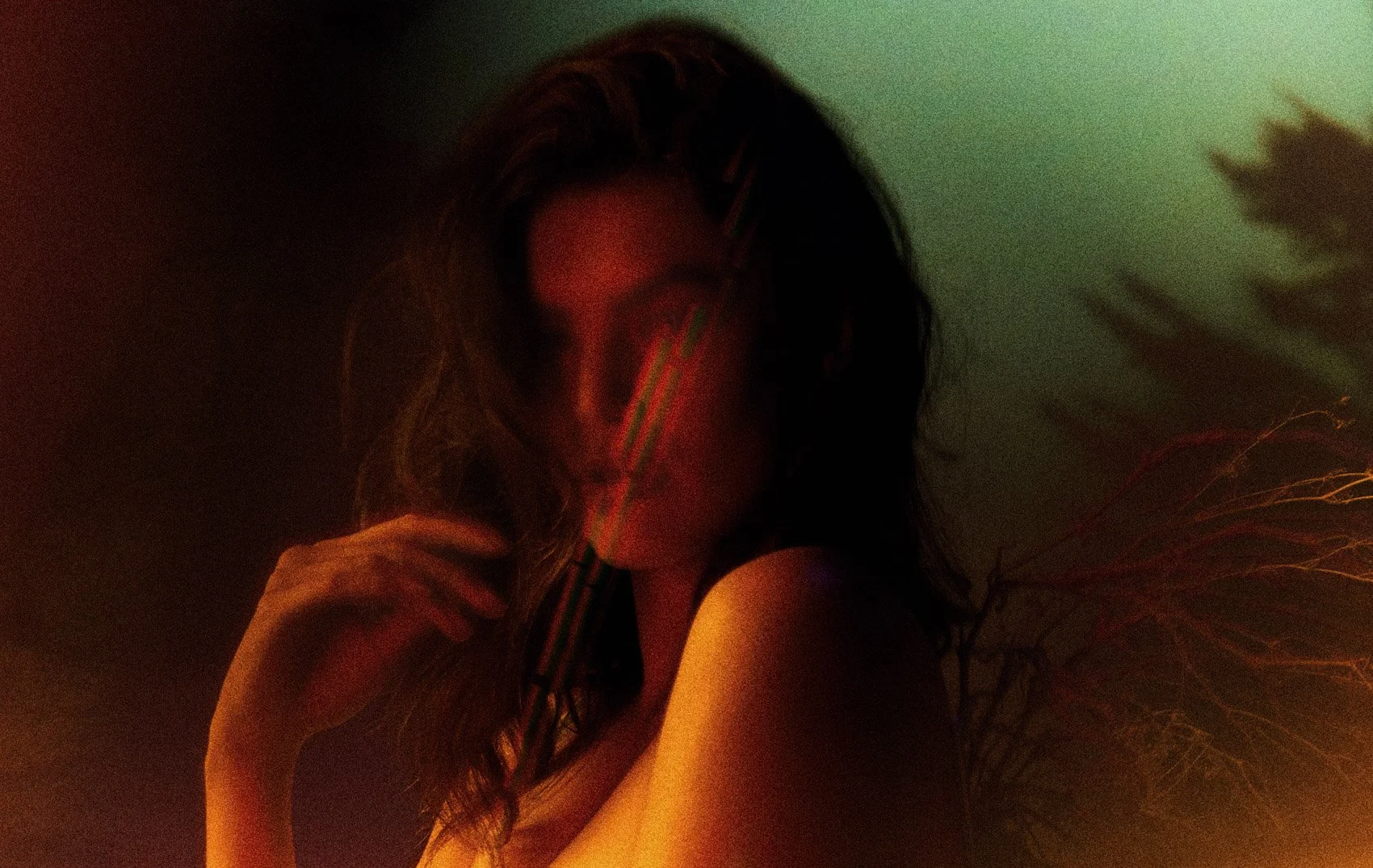 33 - Sofie Rovenstine_592_lg.jpg