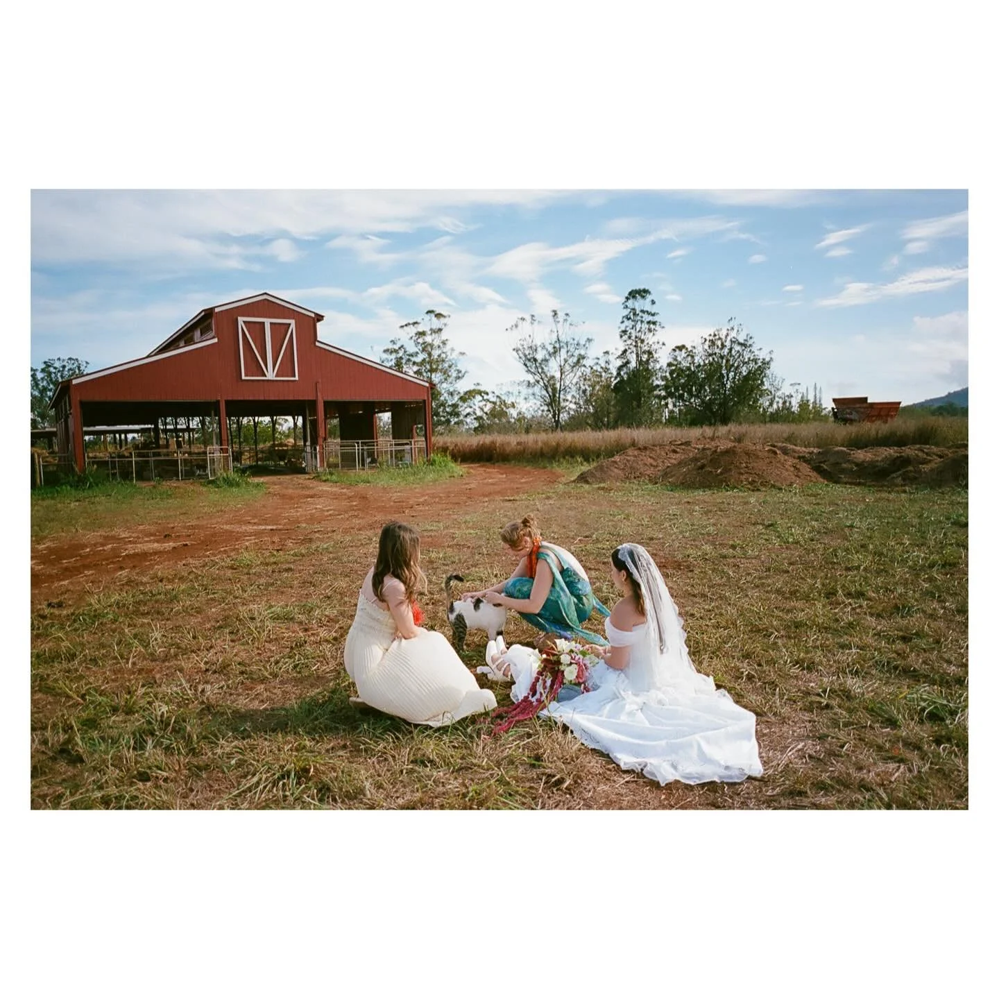 vy + isaac on an island in the middle of the pacific ocean.