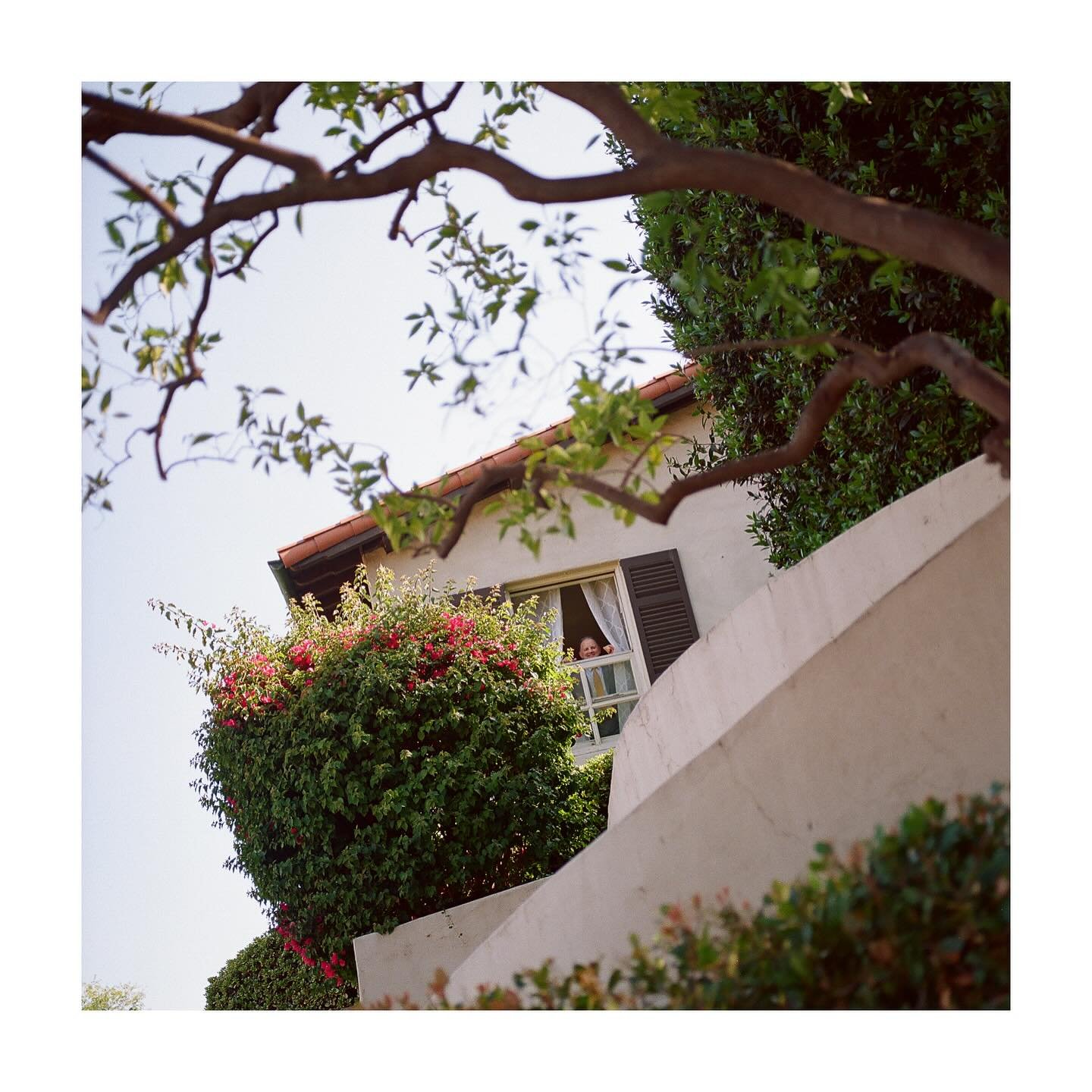 on this mini series of &lsquo;dads peeking&rsquo;.