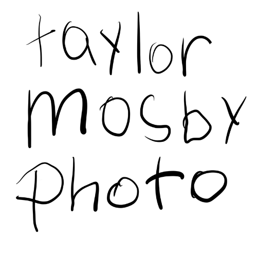 taylor mosby photo