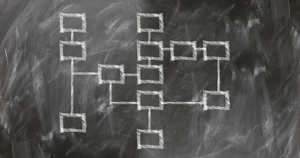 organization chart diagram
